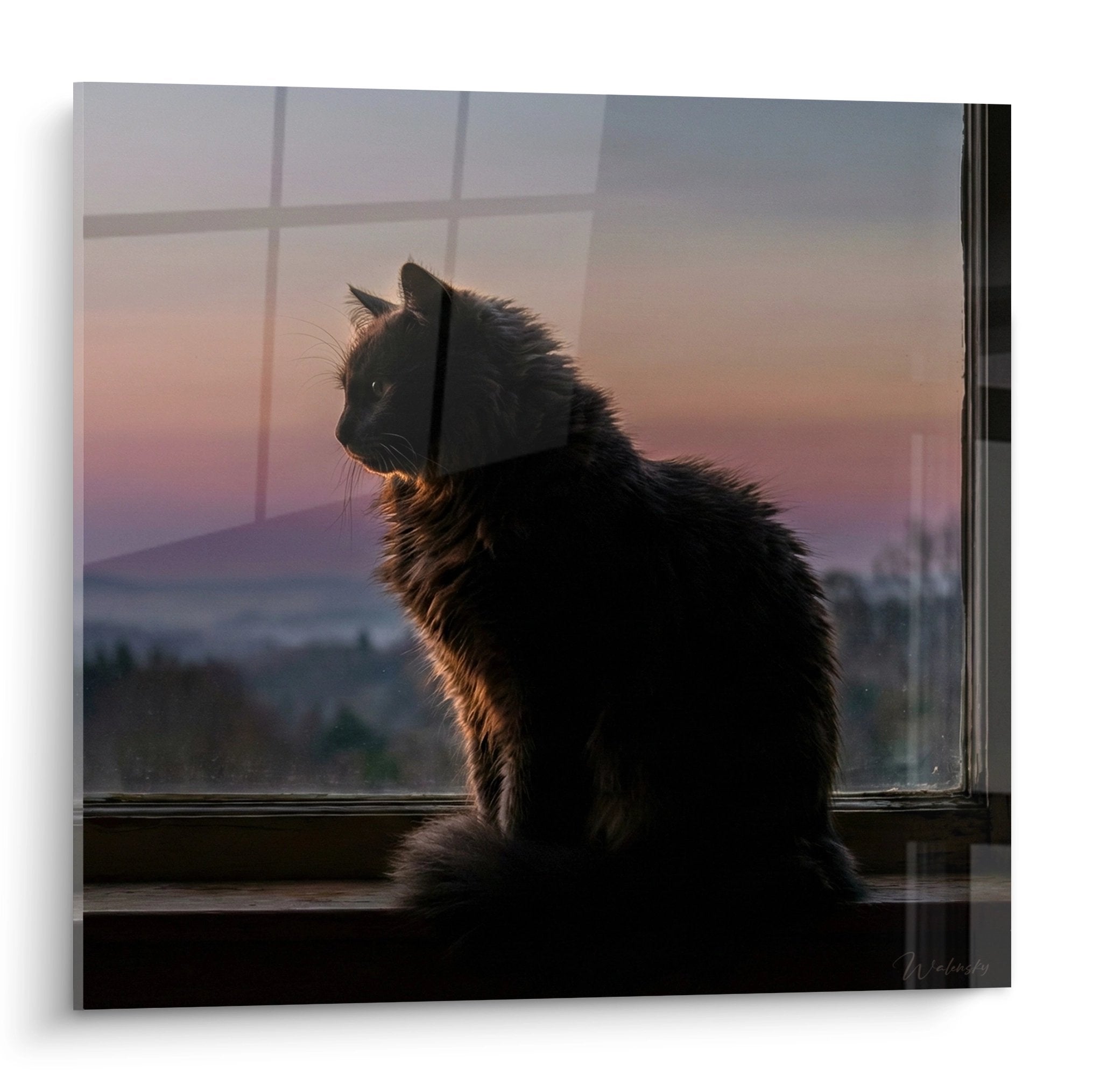 Tableau chat Nebelung assis à la fenêtre contemplant coucher soleil, pelage argenté, lumière crépusculaire dorée
