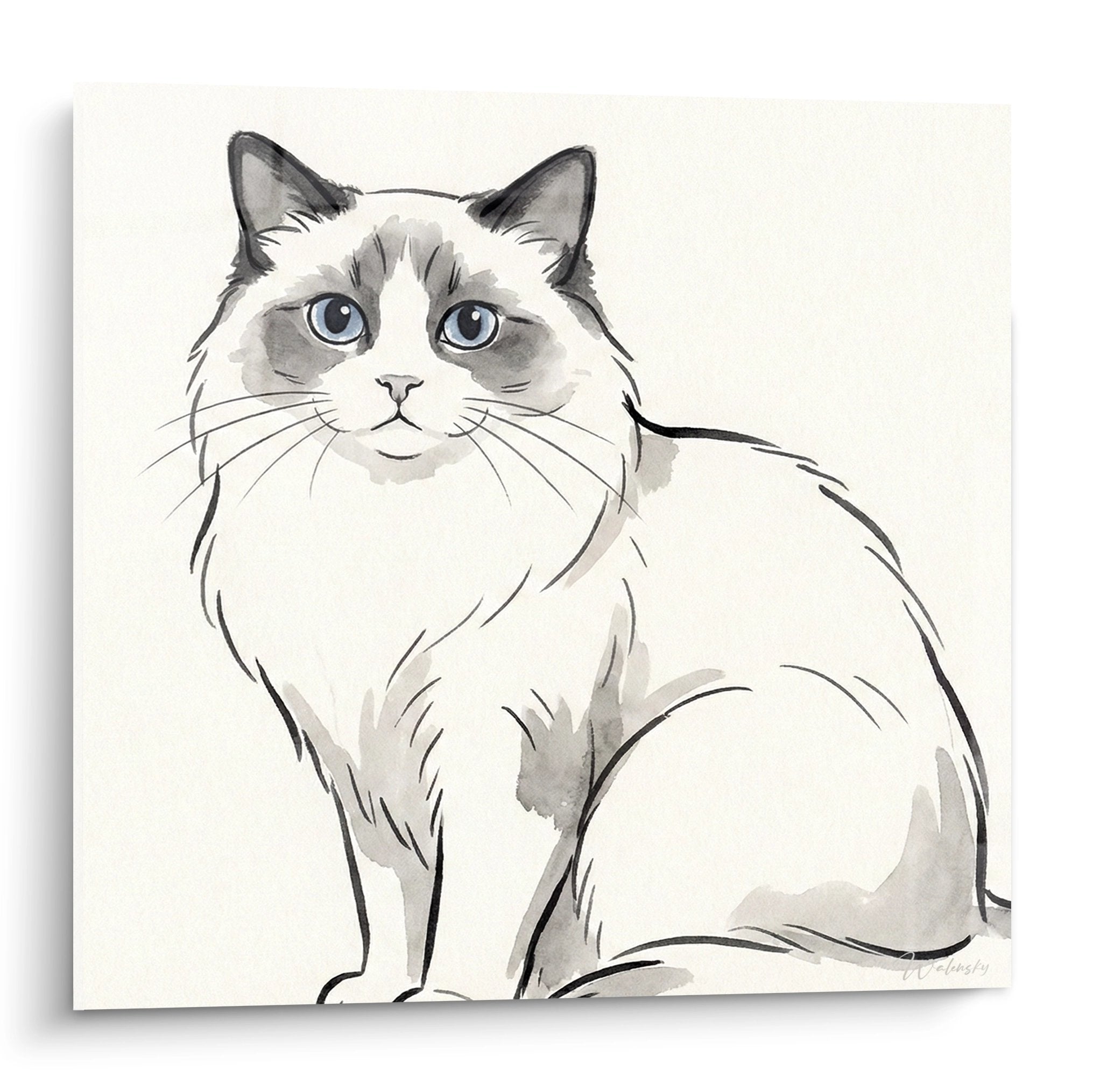 Quadro acquerello gatto Ragdoll seduto con occhi blu, ritratto artistico mantello crema e grigio su fondo neutro