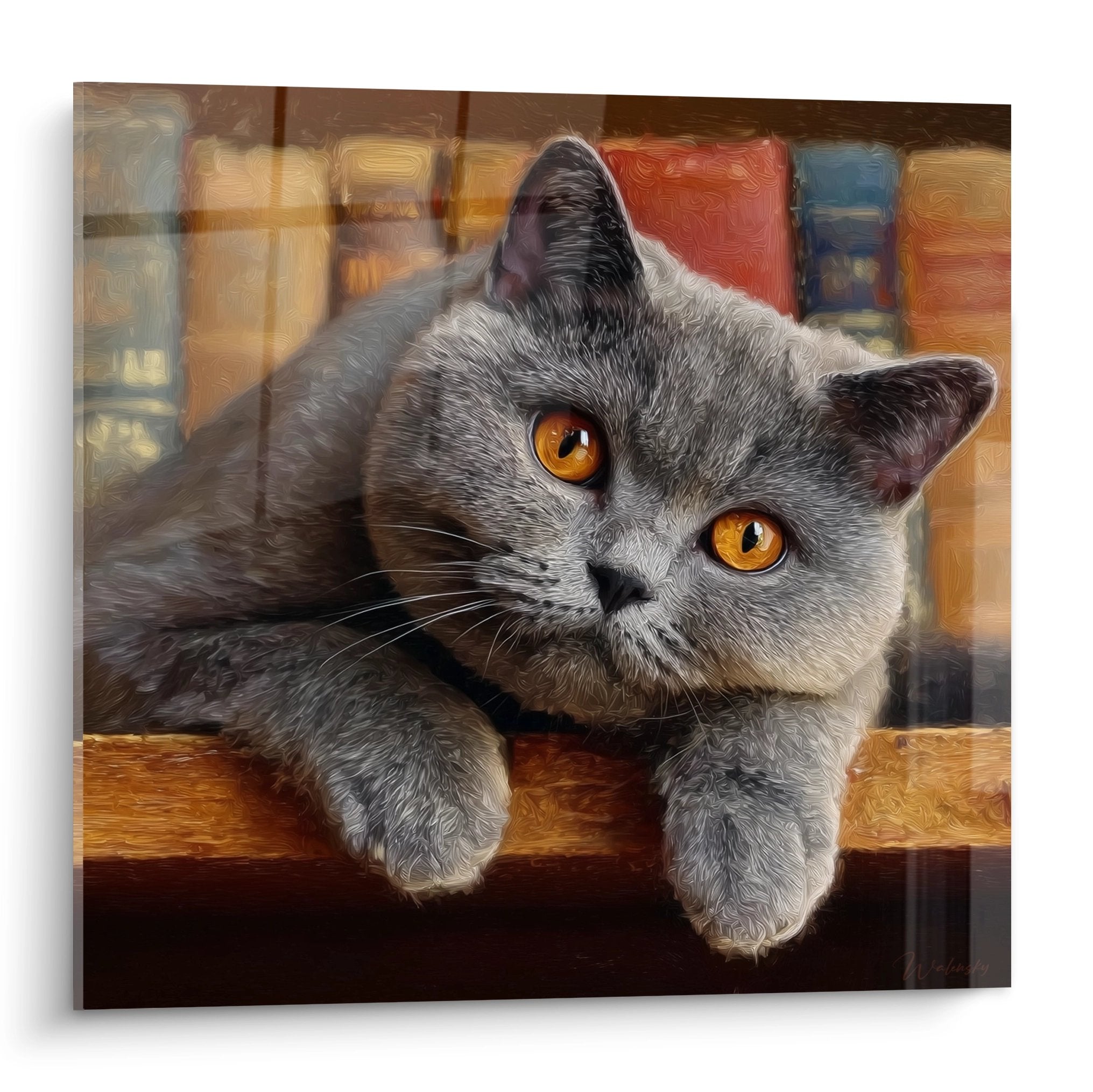 Quadro artistico British Shorthair grigio con occhi dorati appoggiato su scaffale in legno con libri sullo sfondo