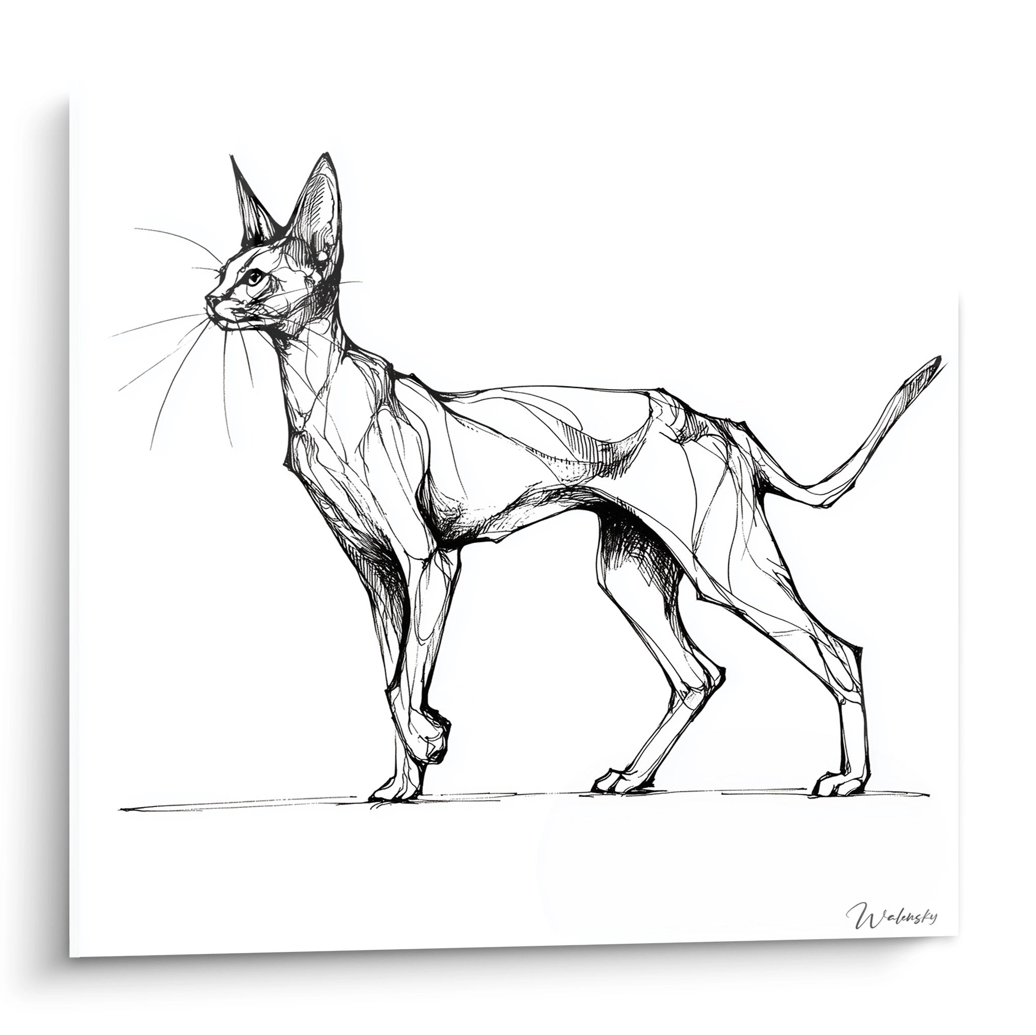 Künstlerische Skizze einer schwarzweißen Serengeti-Katze in Bewegung, elegante Strichzeichnung zur Wanddekoration