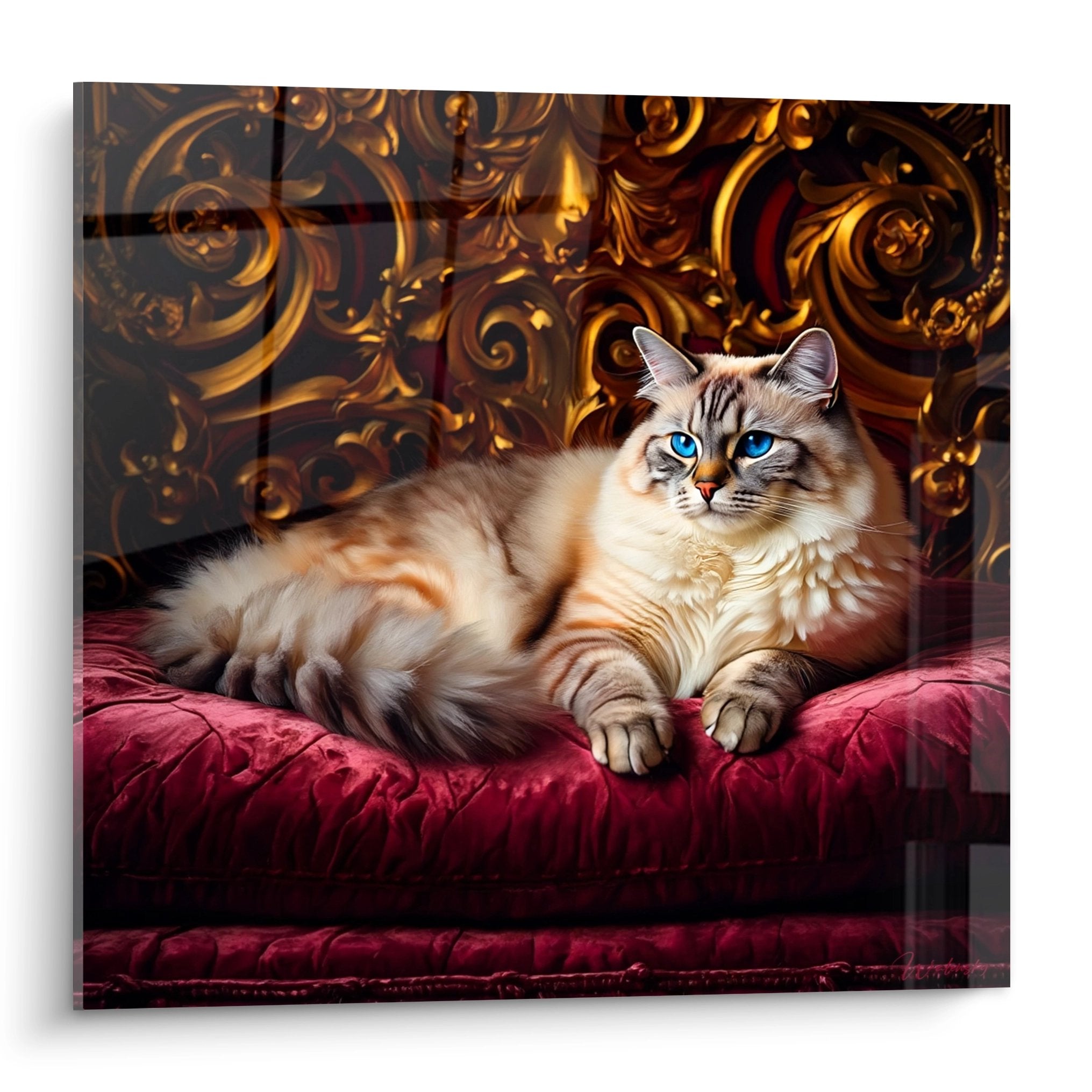 Birman cat wall art with blue eyes lying on burgundy velvet cushion with gold baroque ornaments background