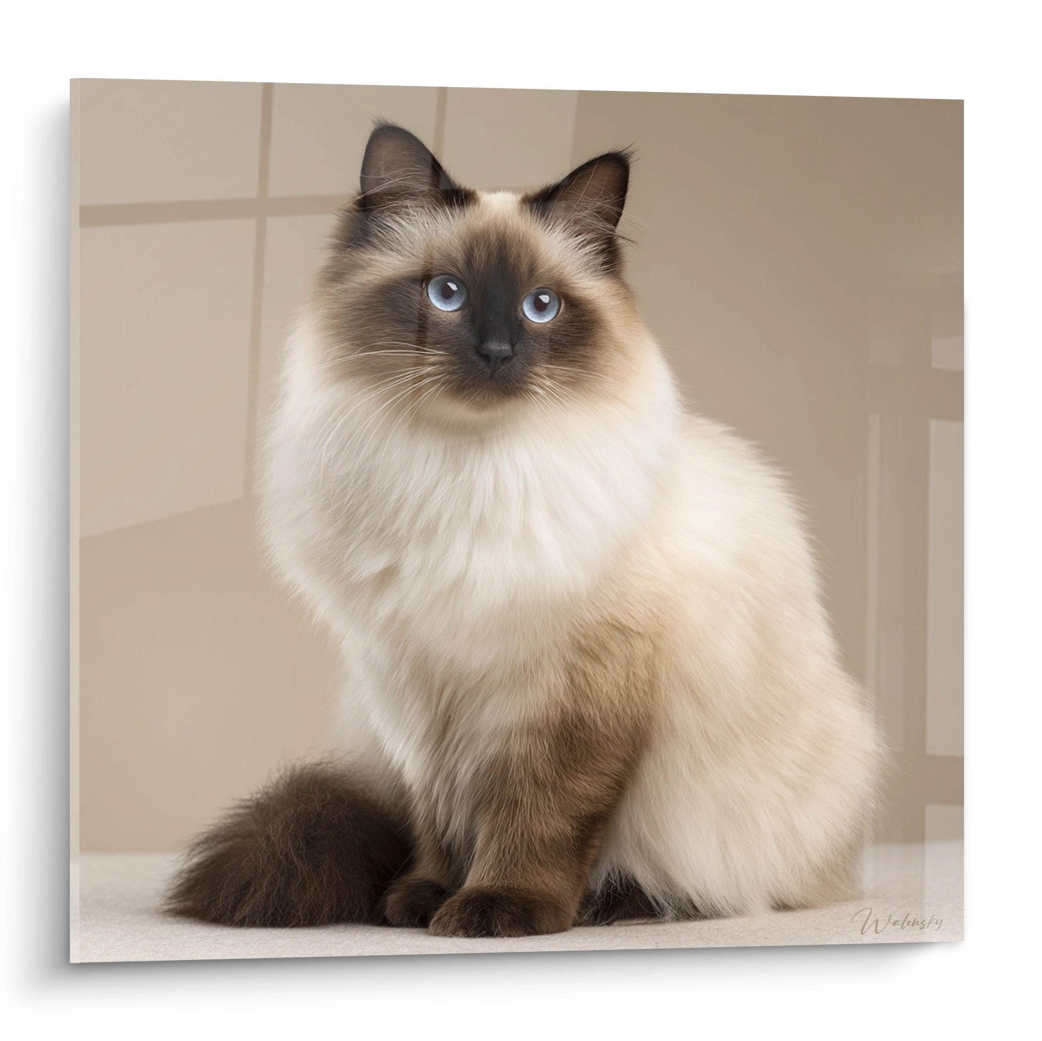 Artistic Birman cat painting with blue eyes sitting, cream and brown coat, elegant feline wall decoration