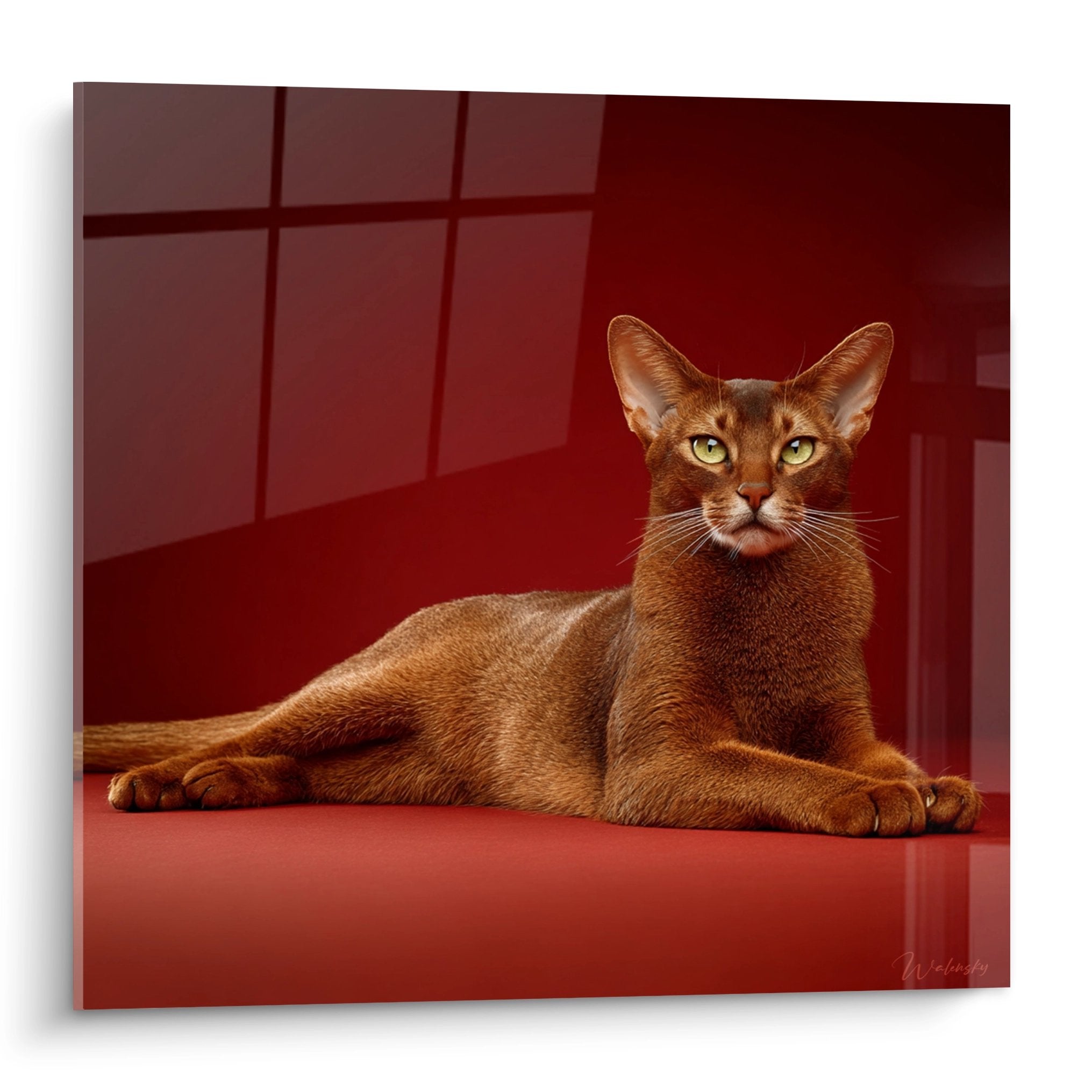 Quadro murale gatto Abissino rosso con occhi verdi disteso su piastrelle rosse bordeaux, arte felina decorativa