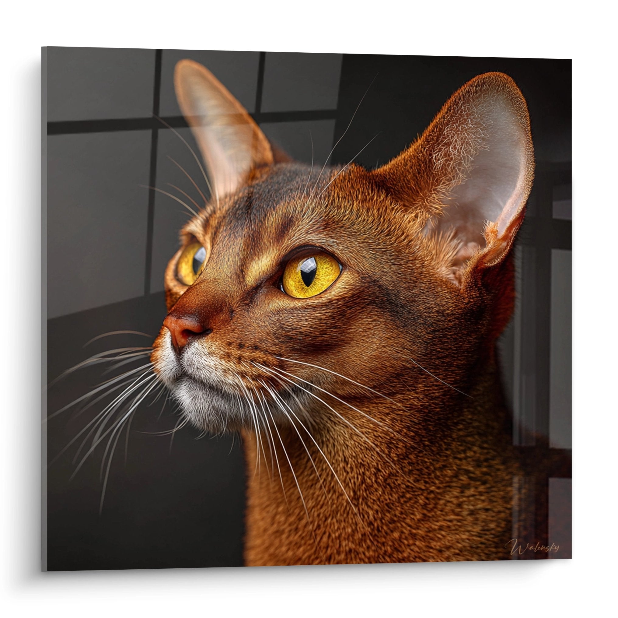 Ritratto di profilo gatto Abissino con occhi dorati su tela murale moderna, mantello rosso rame, decorazione artistica