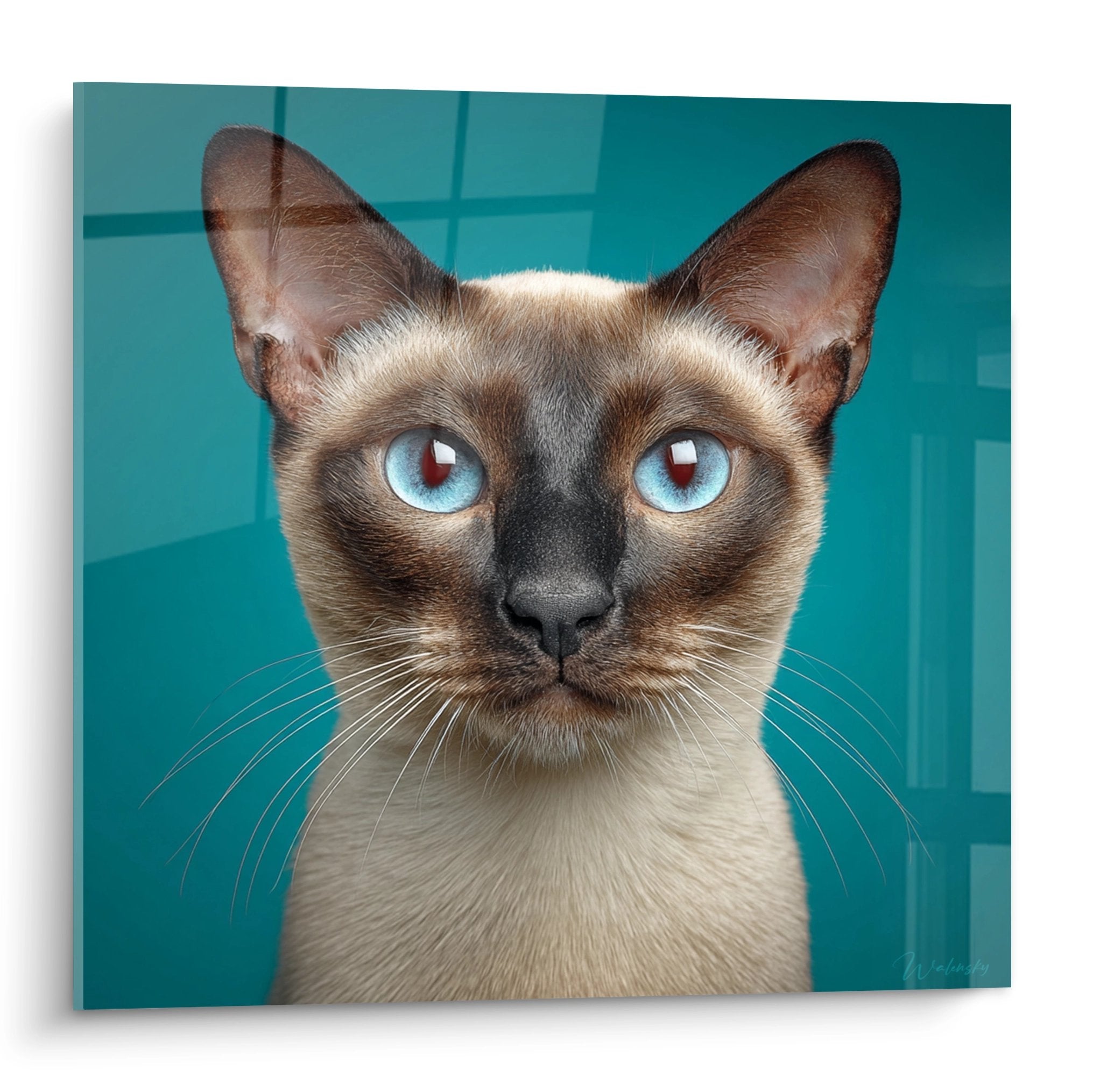 Ritratto artistico di un gatto Tonkinese con occhi blu su sfondo turchese moderno, quadro decorativo felino