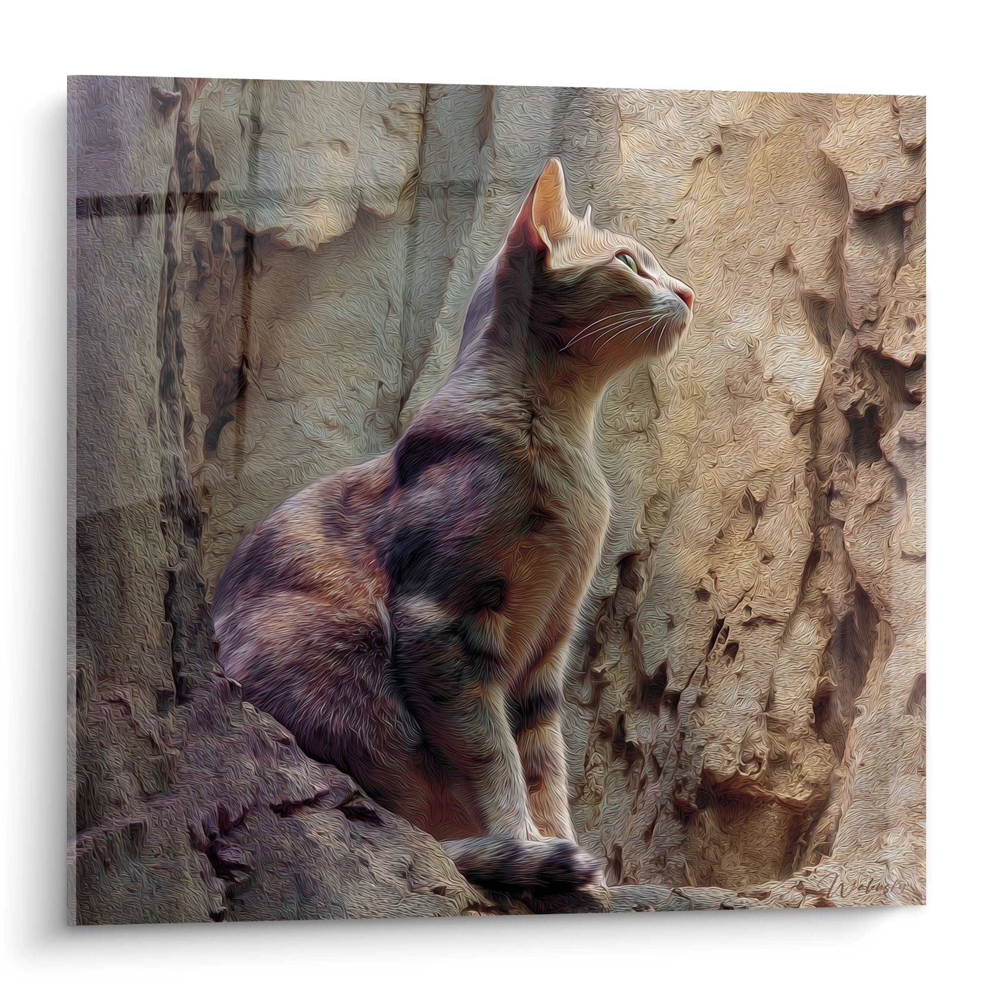 Quadro artistico di un gatto Sokoke contemplativo su sfondo roccioso con toni caldi, arte murale felina premium