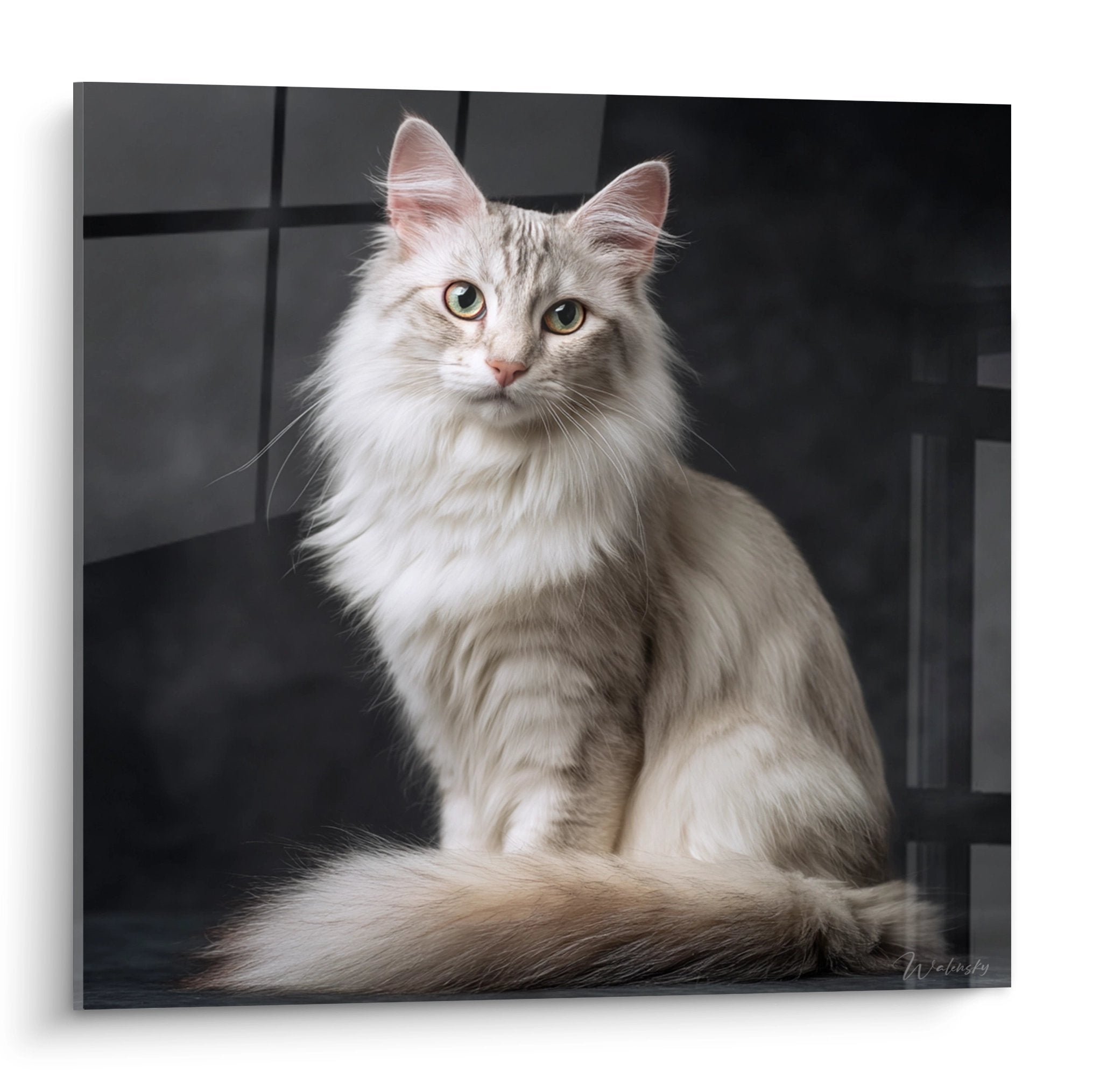 White Turkish Angora cat wall art with golden eyes sitting elegantly on dark background
