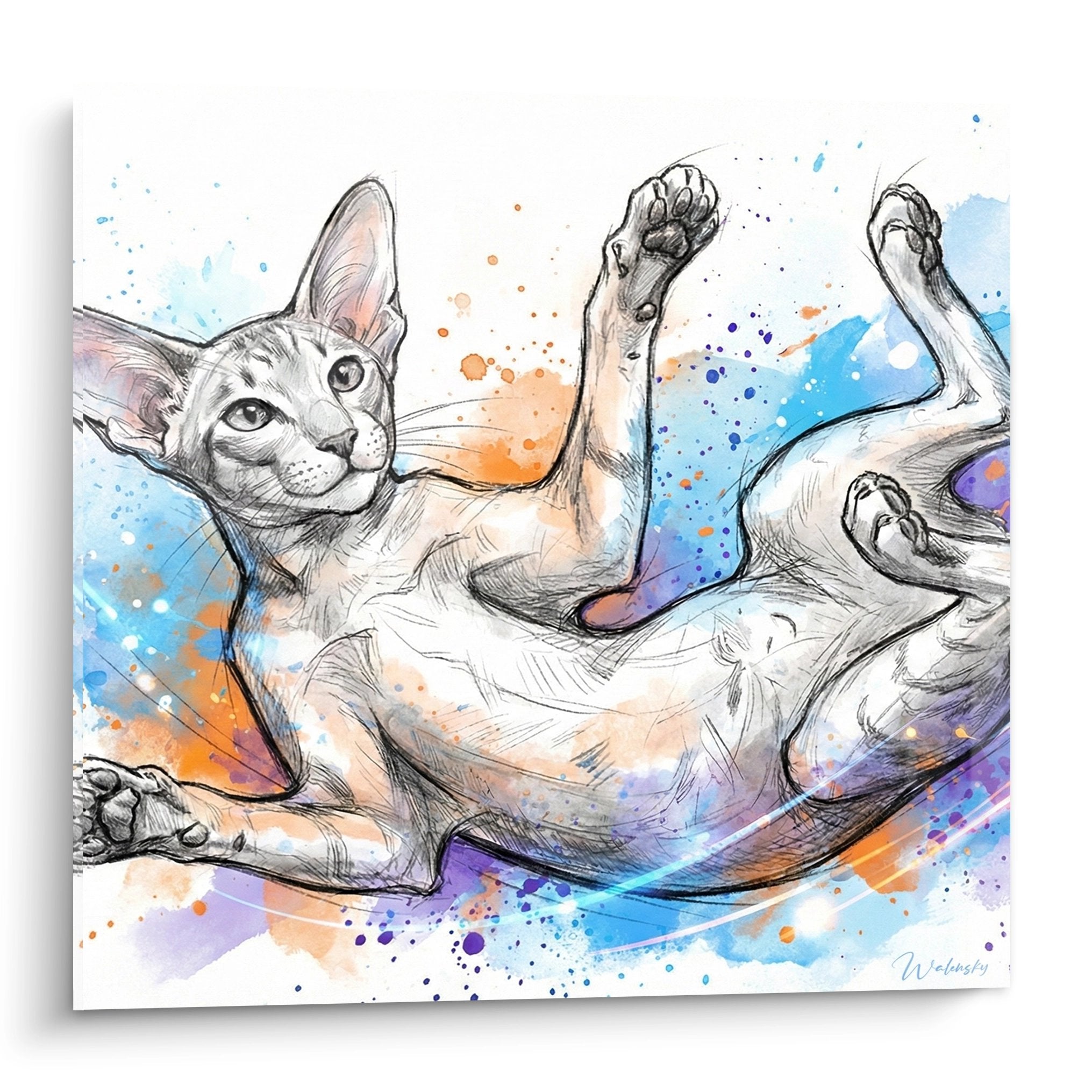 Aquarellgemälde einer Oriental Shorthair Katze, die auf dem Rücken liegt, mit farbigen blauen und orangefarbenen Spritzern