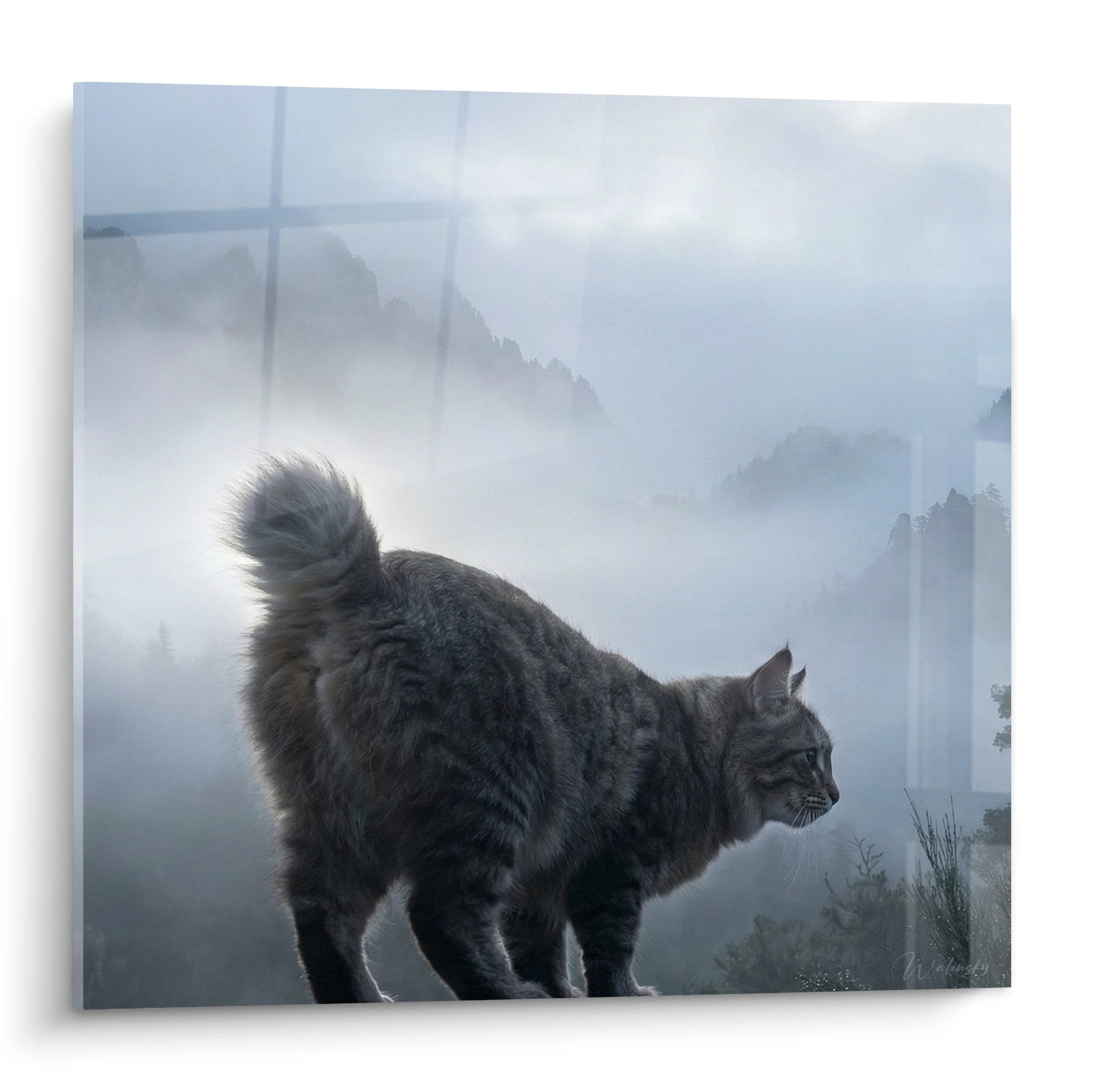Gatto Kurilian Bobtail che contempla un paesaggio montano nella nebbia mattutina, quadro murale artistico
