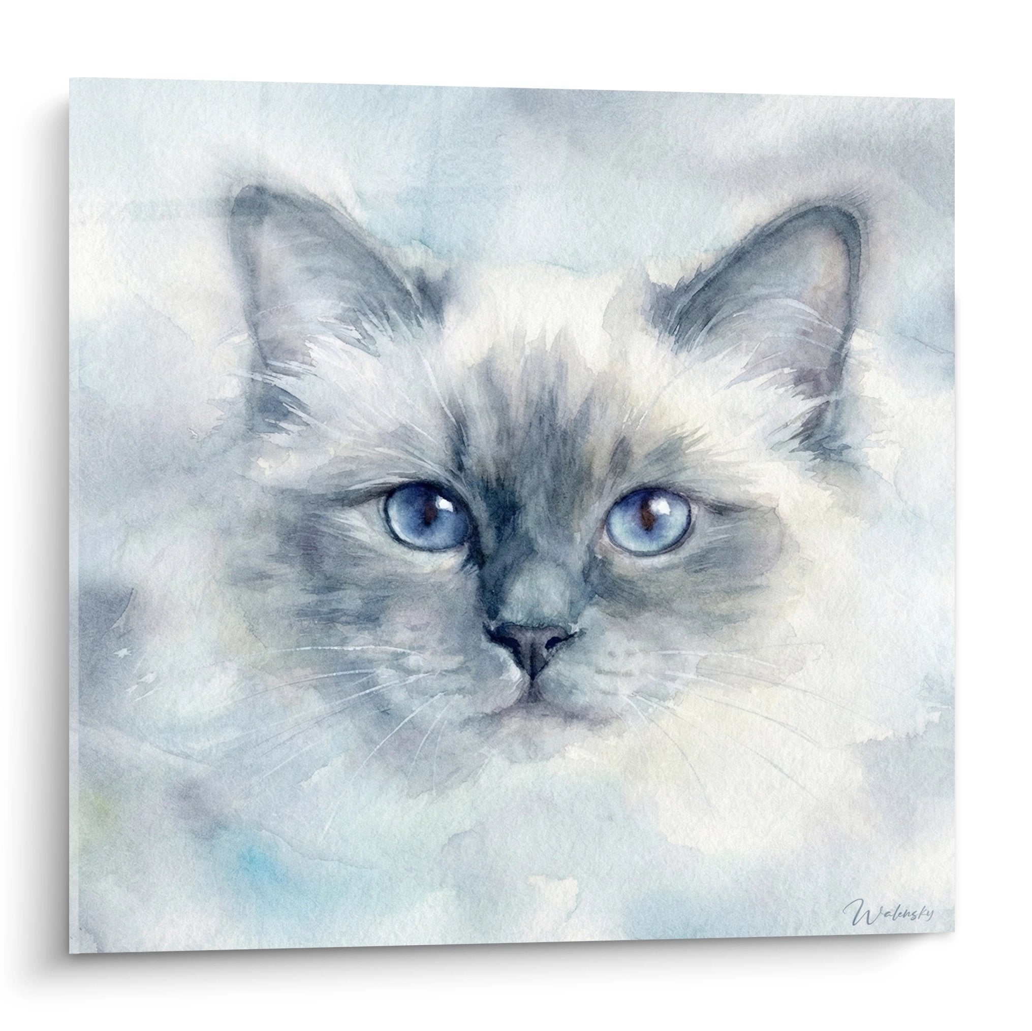 Watercolor painting of a Birman cat with blue eyes, soft and elegant feline wall art