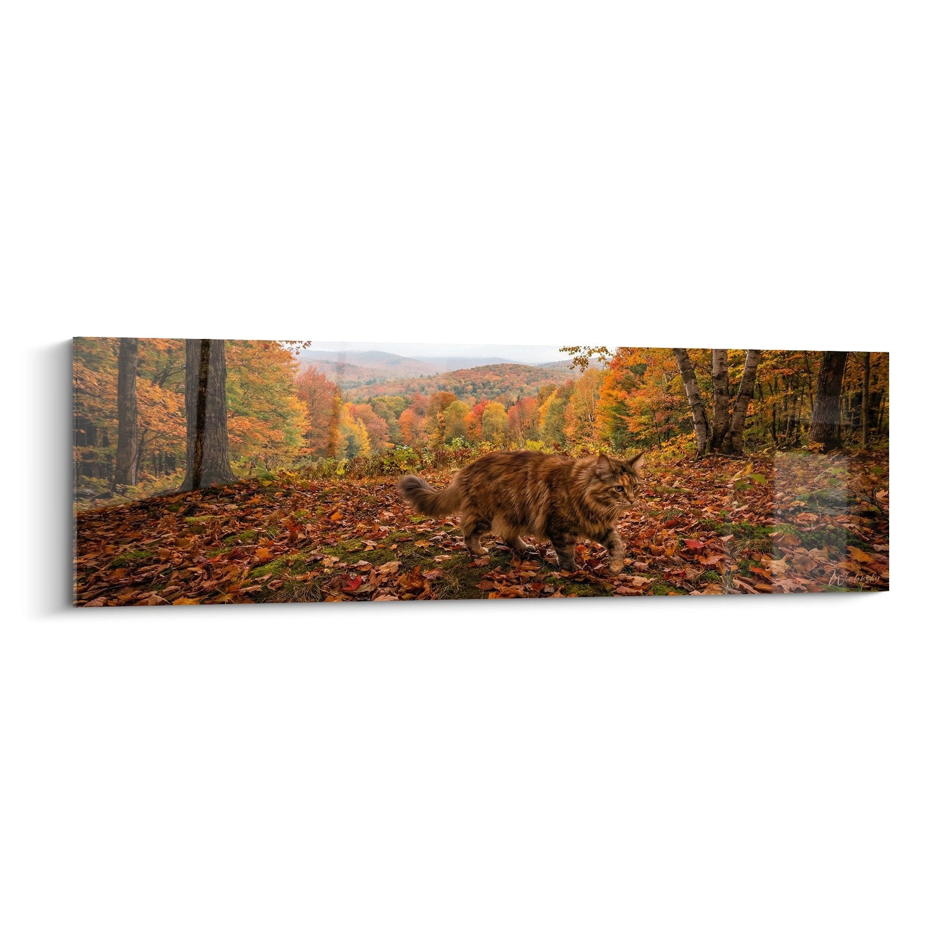 Red Maine Coon cat painting walking through autumn forest with golden leaves and rolling landscape background