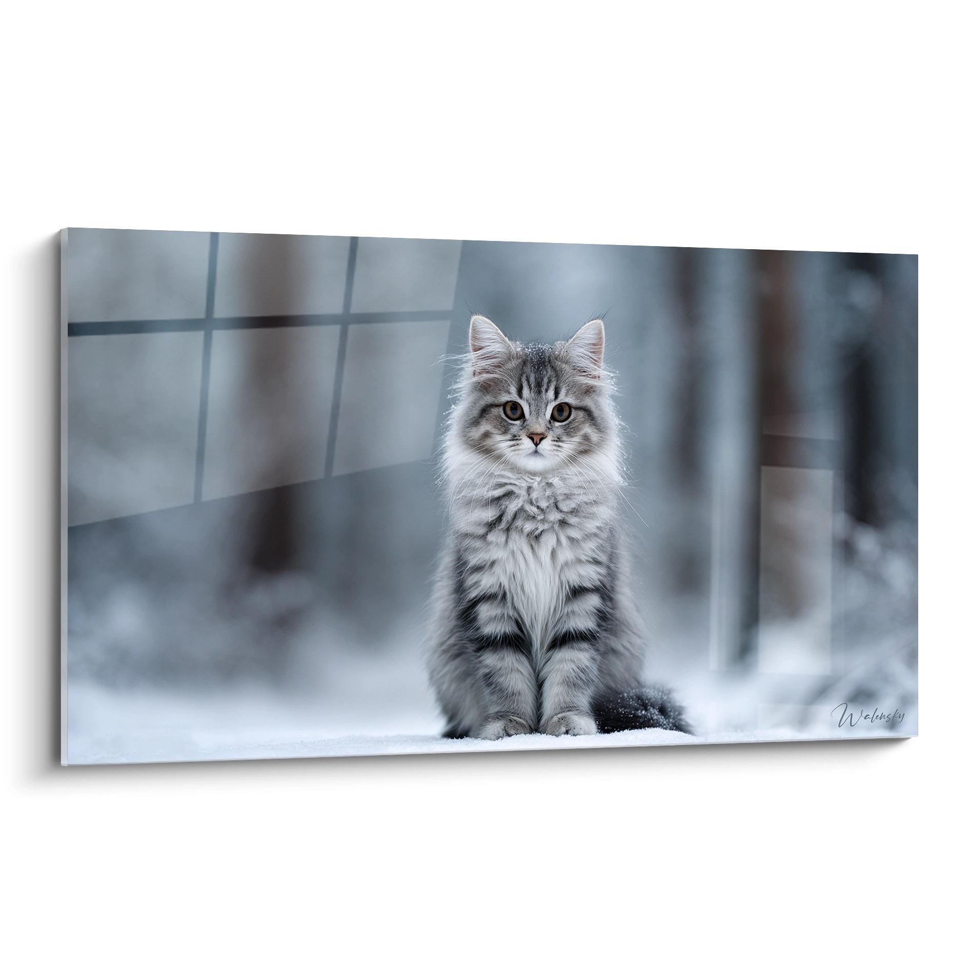 Tableau décoratif d'un adorable chaton sibérien aux yeux dorés assis dans un décor hivernal urbain