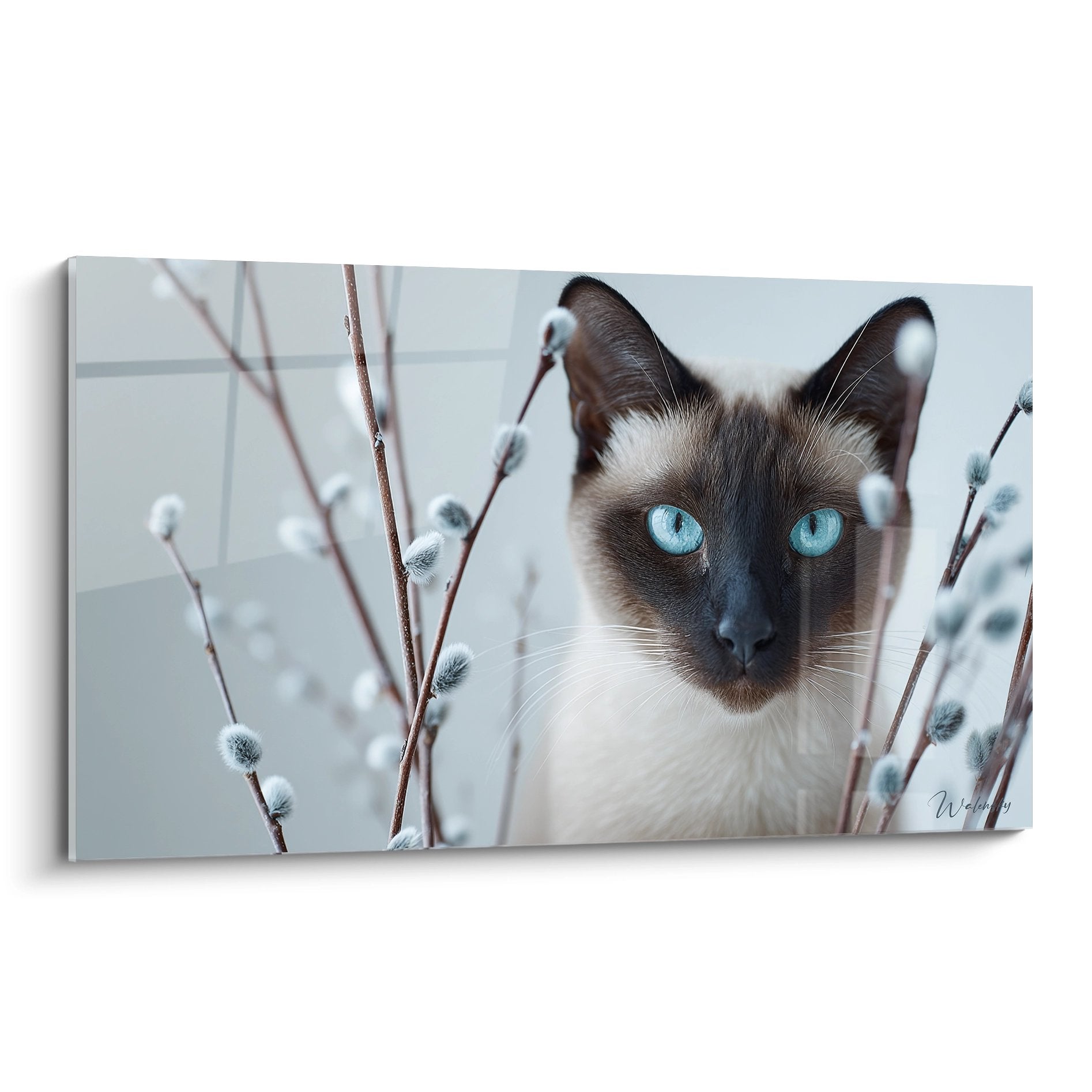 Tableau chat Balinais aux yeux bleus turquoise entouré de chatons de saule duveteux sur fond clair