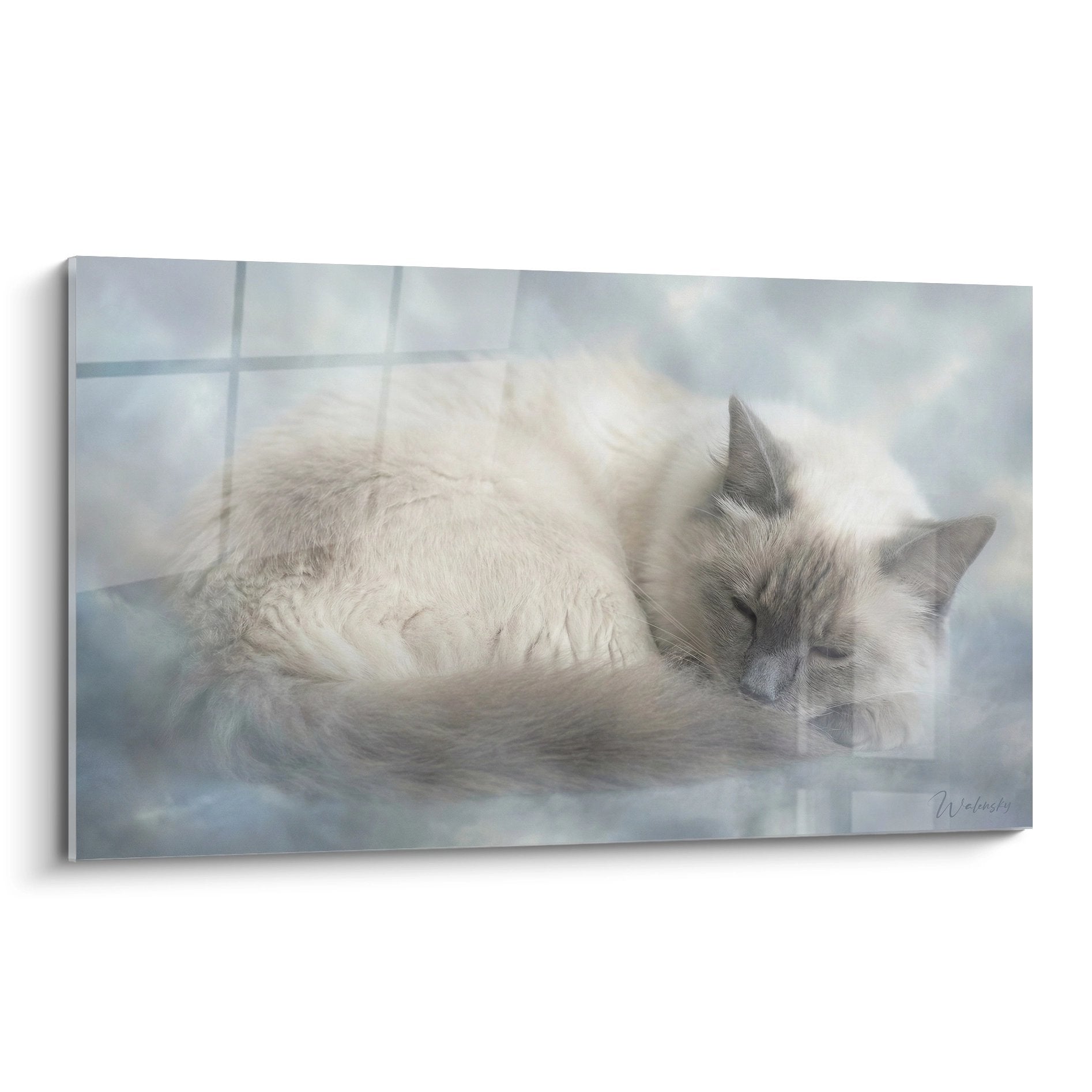 Tableau artistique chat Balinais endormi aux couleurs seal point, art mural décoratif pour intérieur zen et apaisant