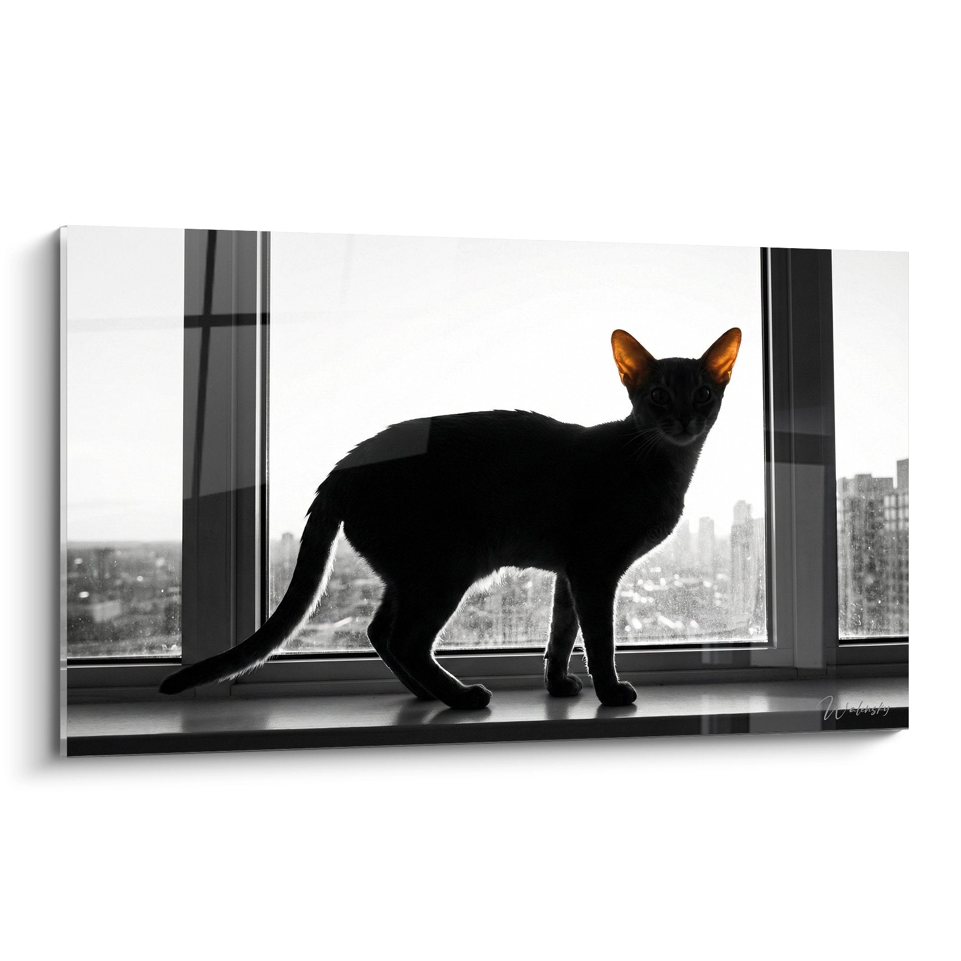 Abyssinian cat wall art black silhouette contemplating city through bay window, modern feline decor