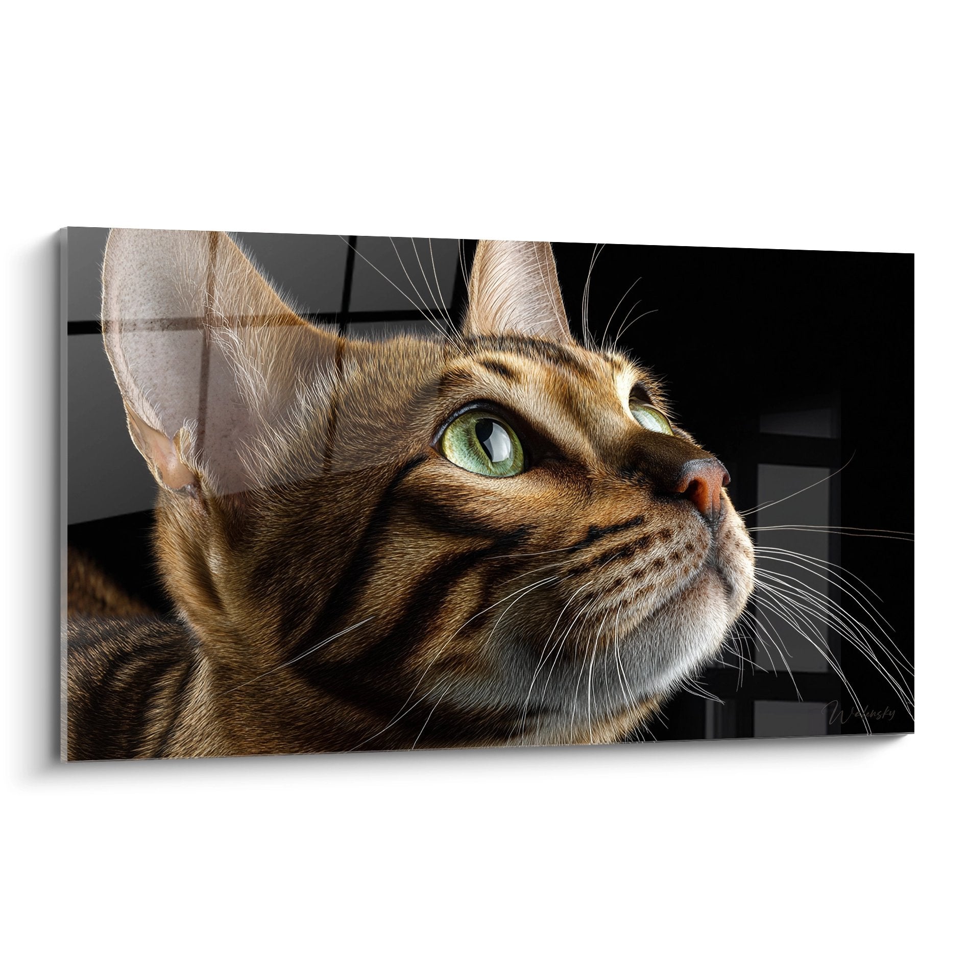 Tableau mural chat Bengal tigré regard contemplatif vers le haut yeux verts pelage doré rayures portrait réaliste