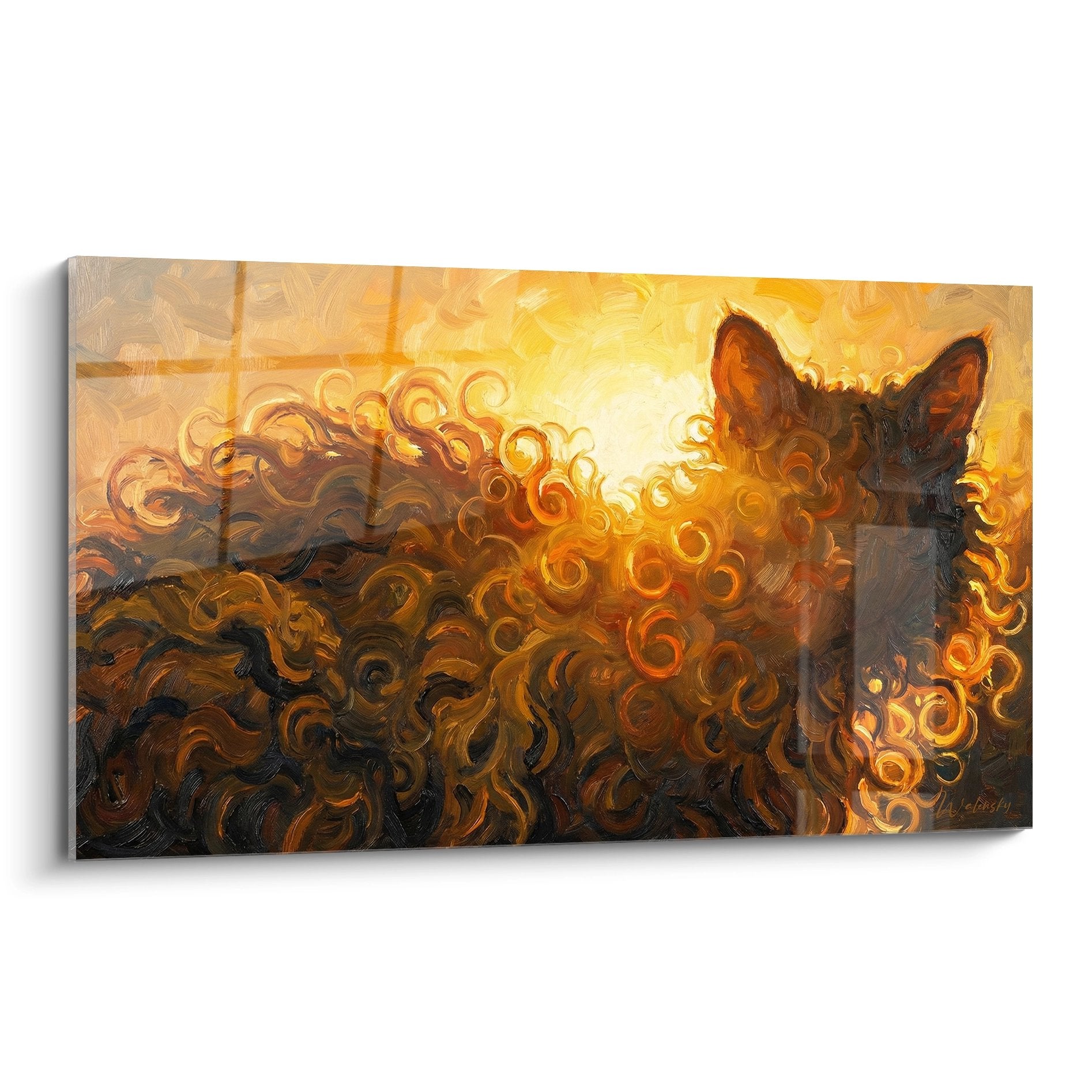 Quadro artistico gatto LaPerm con ricci dorati immerso in luce calda su tela decorativa