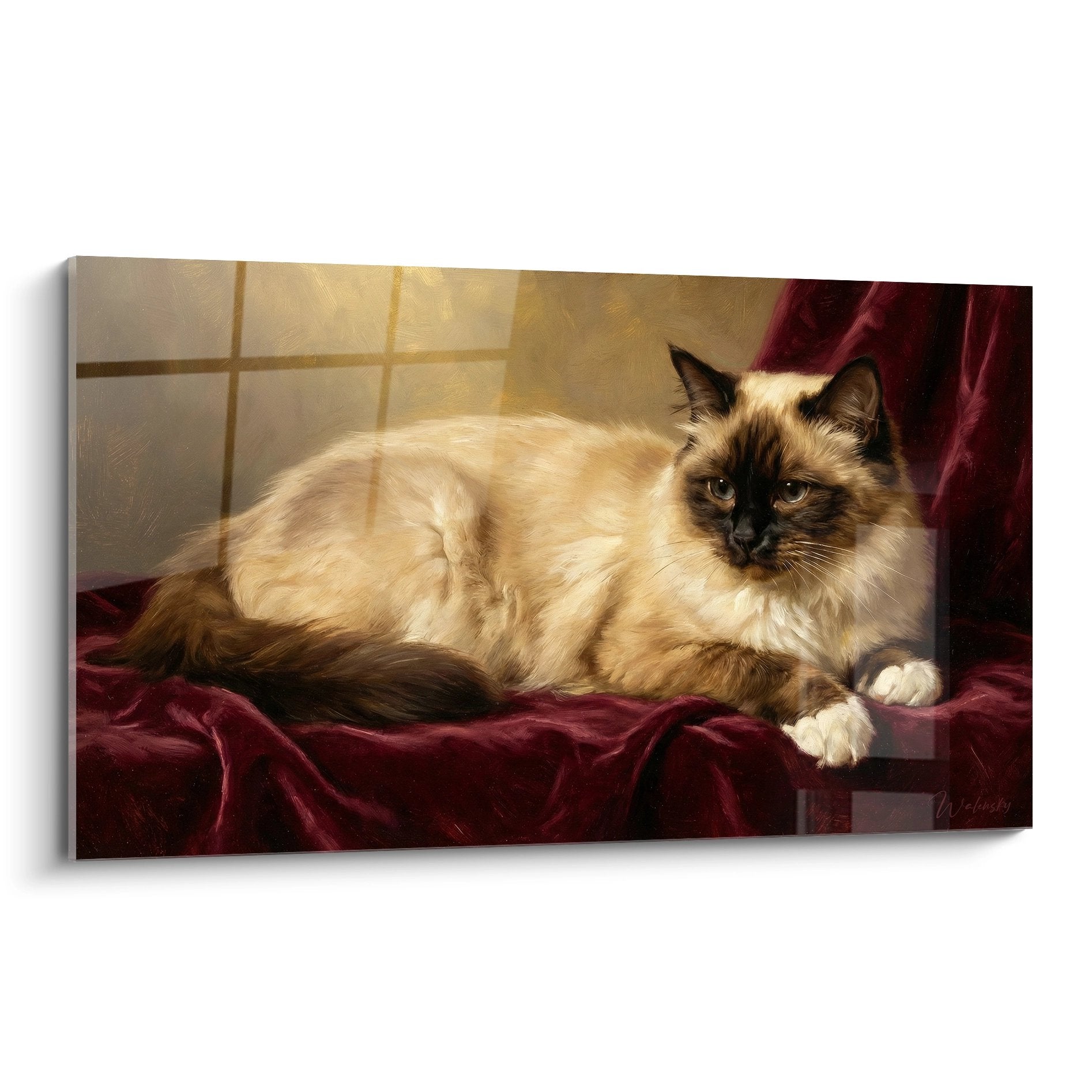 Quadro gatto birmano con occhi blu disteso su velluto rosso bordeaux vicino a una finestra luminosa