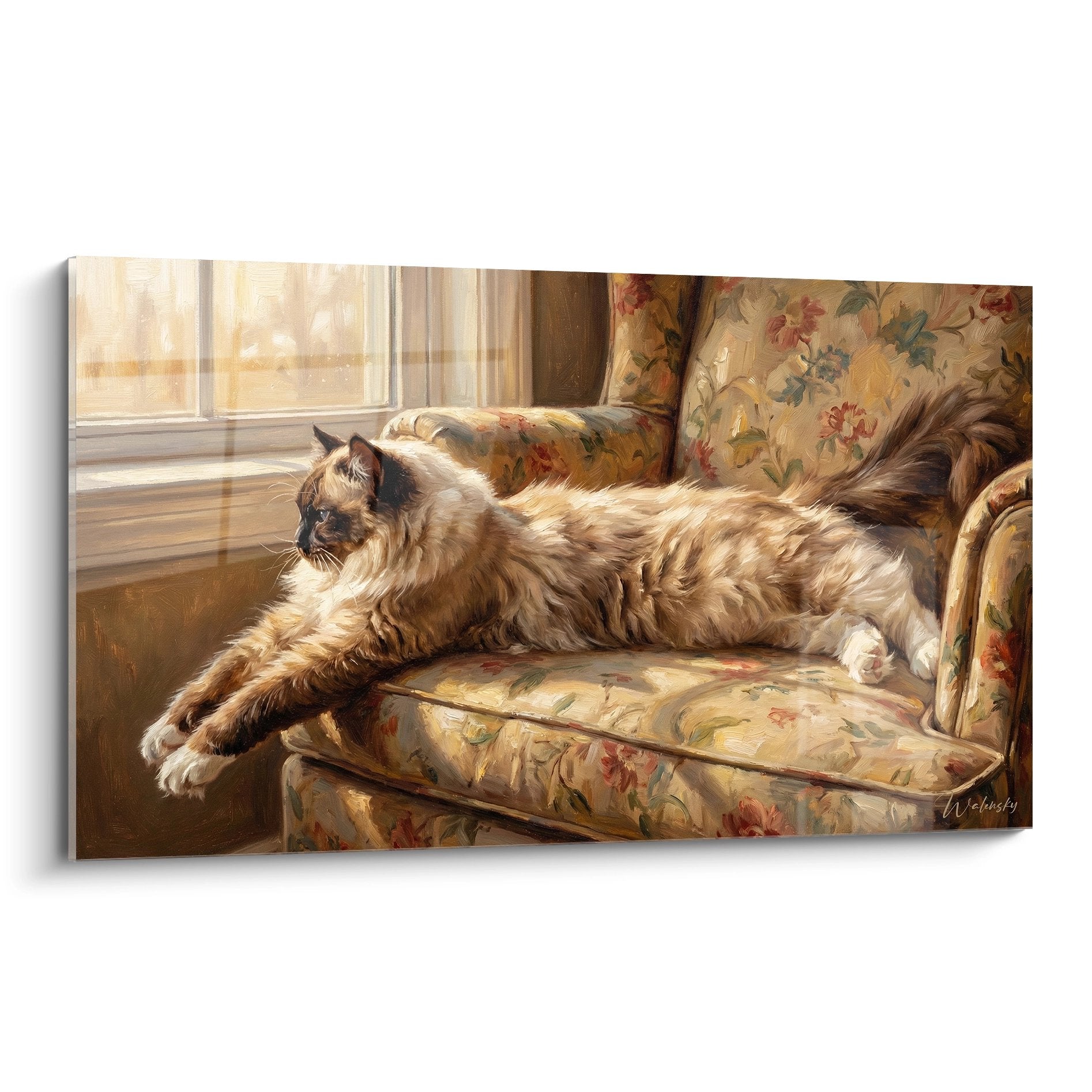 Gatto Ragdoll beige che riposa su una poltrona floreale vicino a una finestra luminosa, quadro arte animale