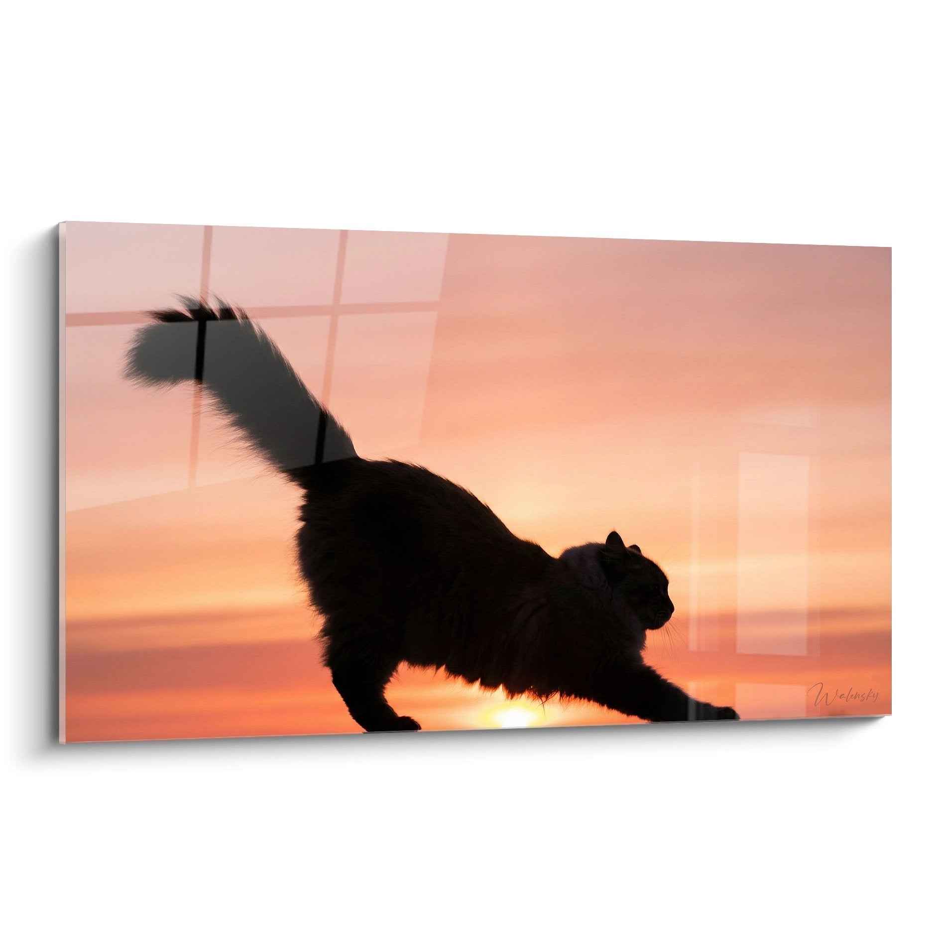 Silhouette di gatto a pelo lungo contro un tramonto rosa e arancione - quadro arte felina