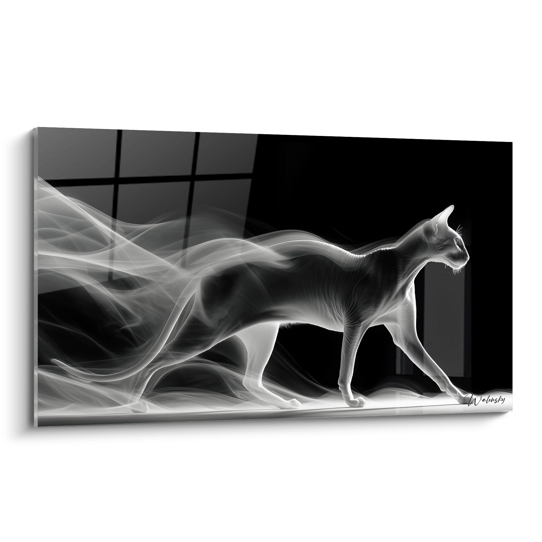 Quadro moderno gatto Peterbald con contorni luminosi bianchi su fondo nero con effetti di fumo etereo