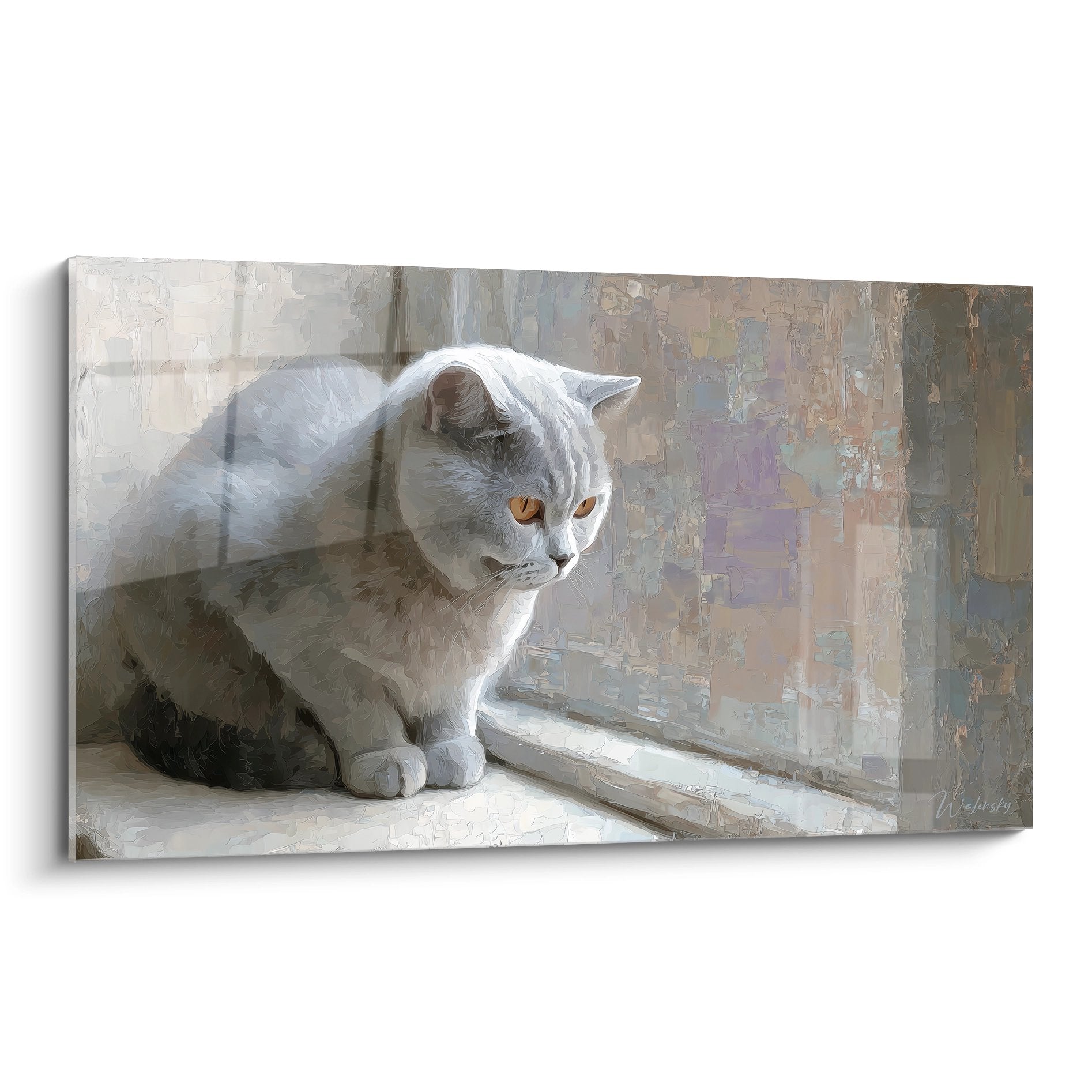 Quadro gatto British Shorthair grigio e bianco con occhi dorati seduto sul davanzale della finestra nella luce naturale