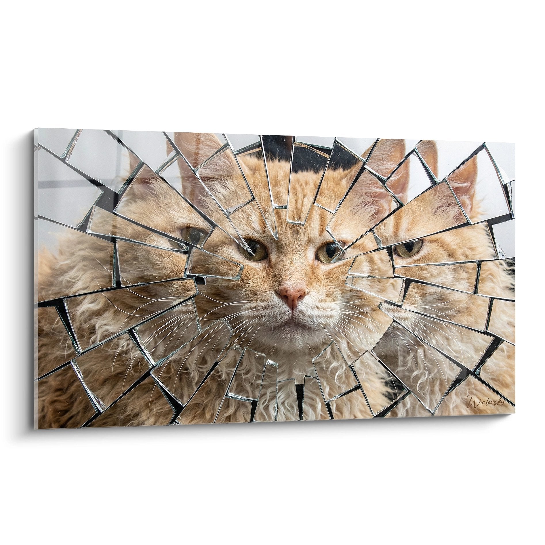 Quadro moderno gatto Laperm rosso con ricci dorati visto attraverso uno specchio rotto che crea un effetto artistico frammentato