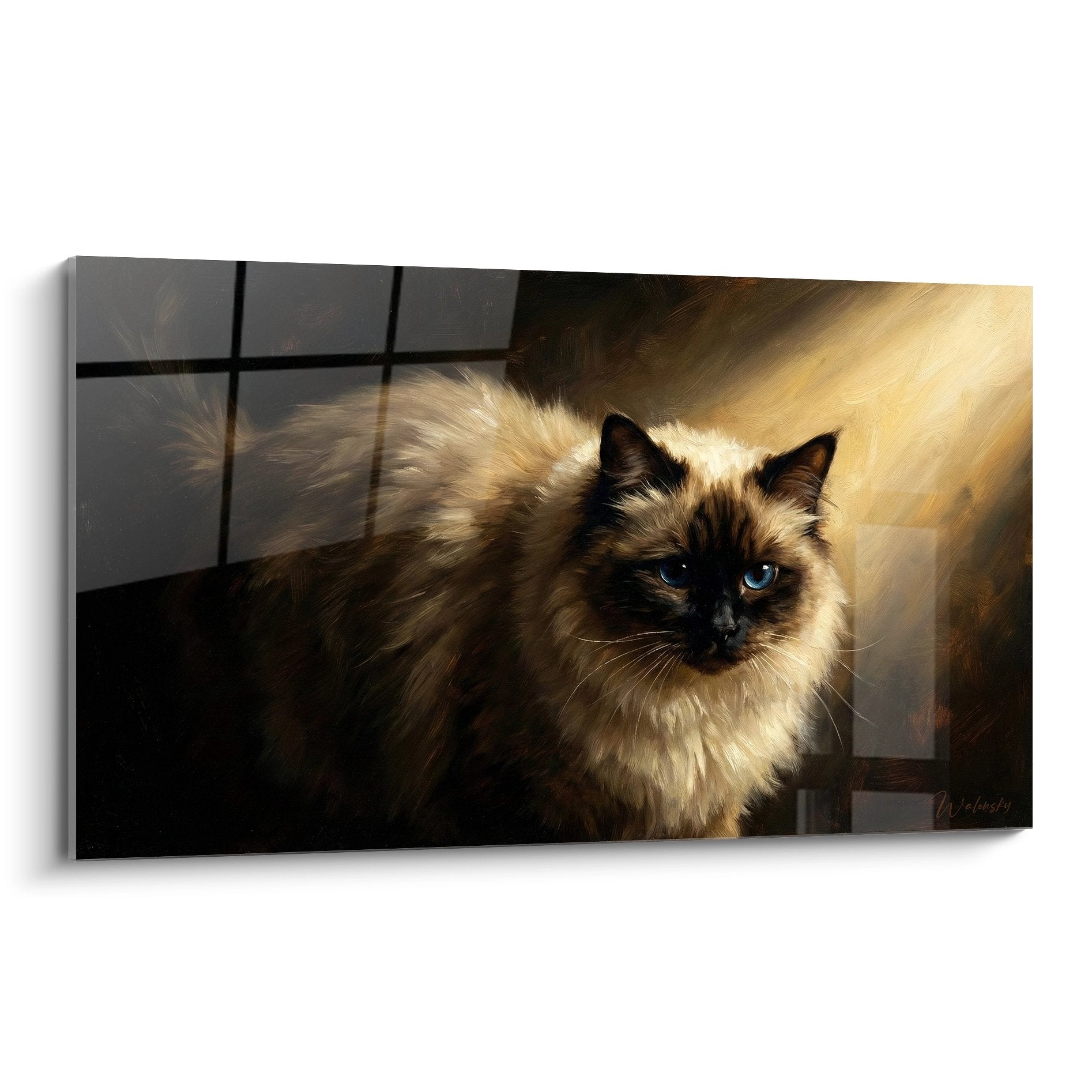 Quadro murale gatto Birmano con occhi blu nella luce dorata, mantello crema e cioccolato, arte felina decorativa