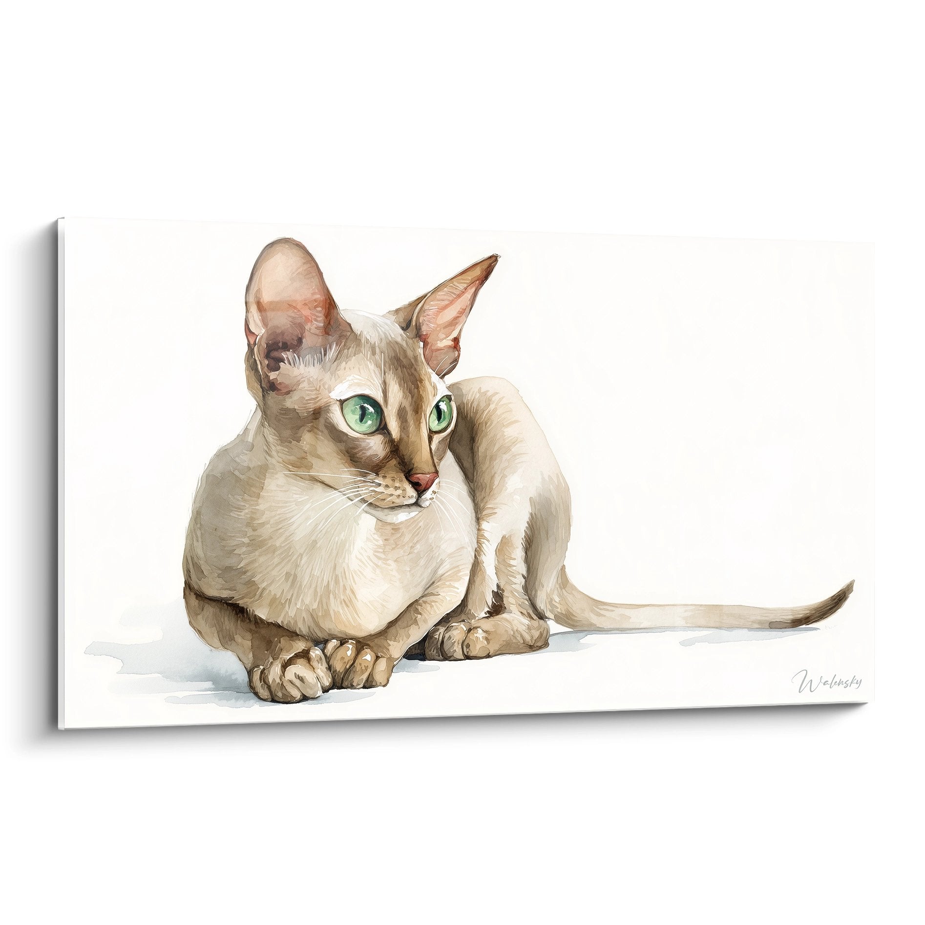 Tableau artistique représentant un chat Singapura aux yeux verts en position assise sur fond blanc