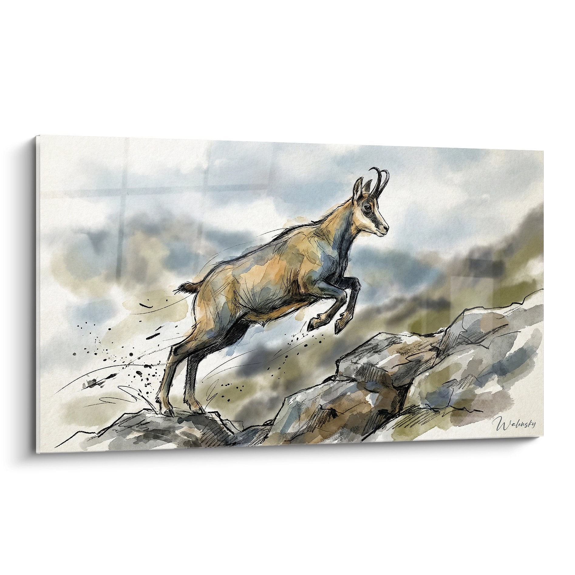 Quadro acquerello raffigurante un camoscio che salta sulle rocce nelle Alpi