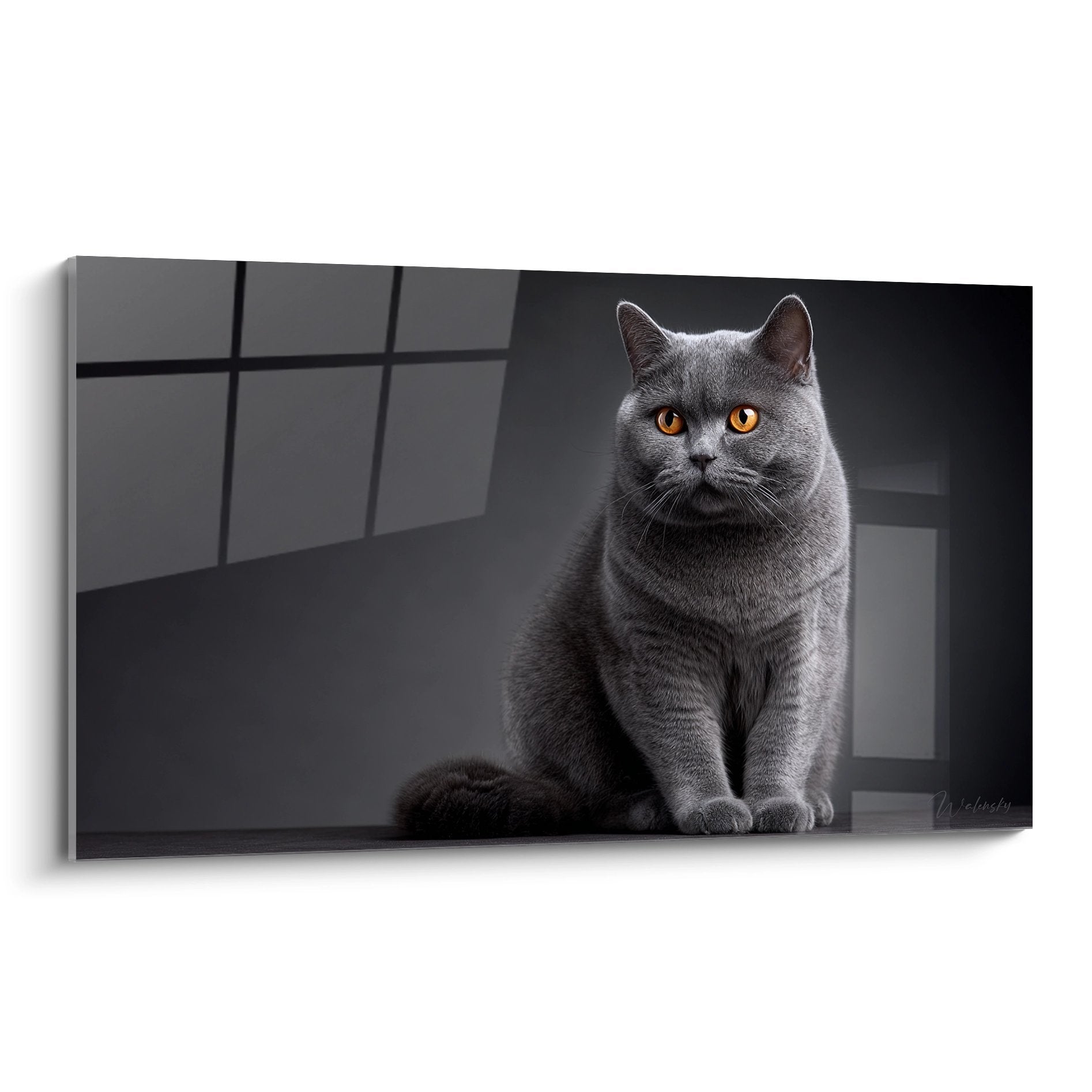 Quadro gatto British Shorthair grigio con occhi ambra seduto elegantemente su sfondo geometrico moderno nero