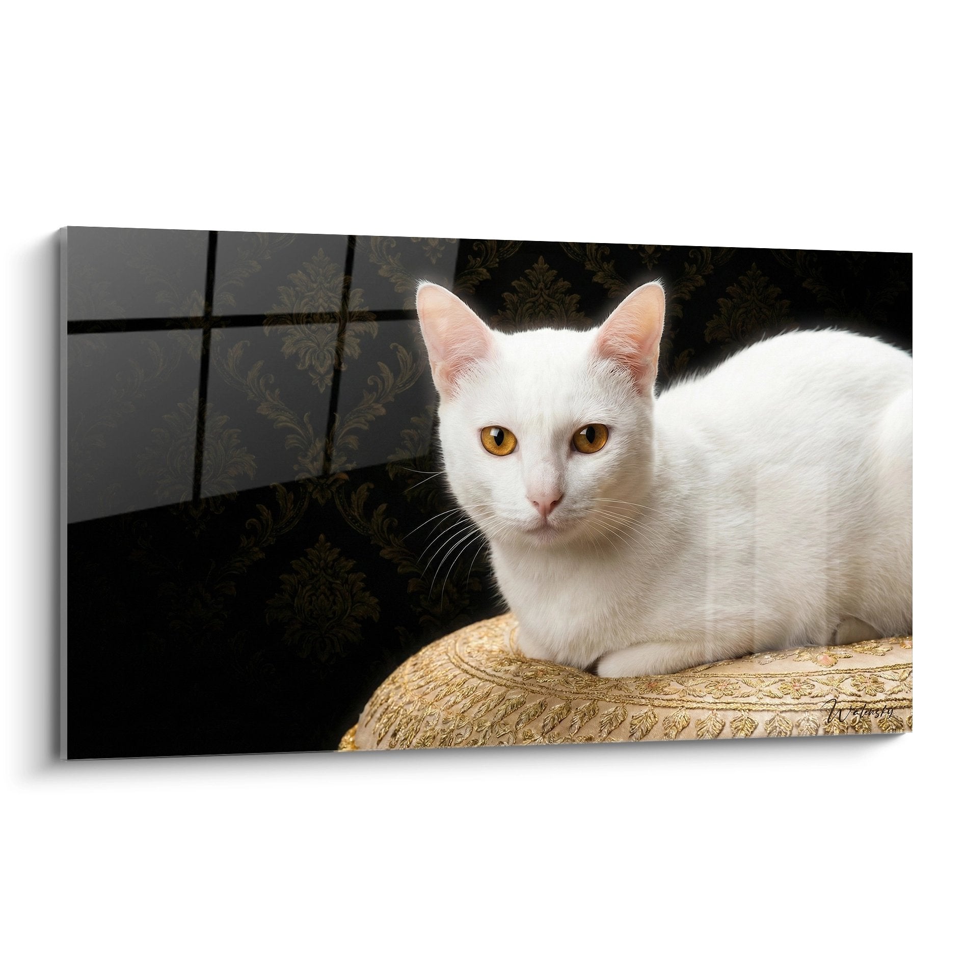 Tableau chat Khao Manee blanc aux yeux dorés posé sur coussin doré, art félin décoratif mural