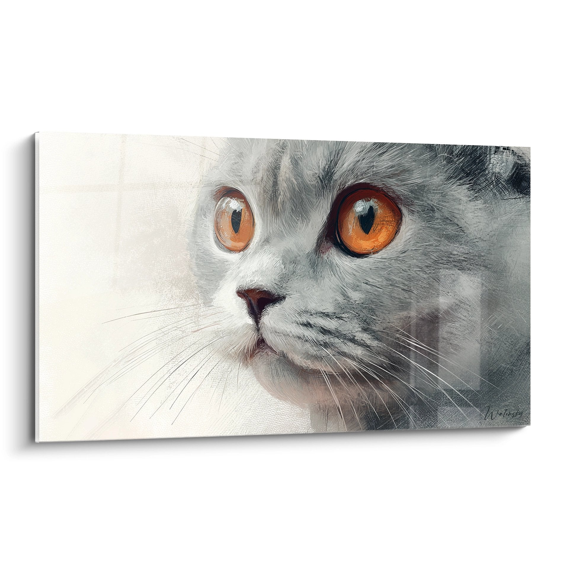 Artistic portrait gray Scottish Fold cat orange eyes intense gaze wall art decoration