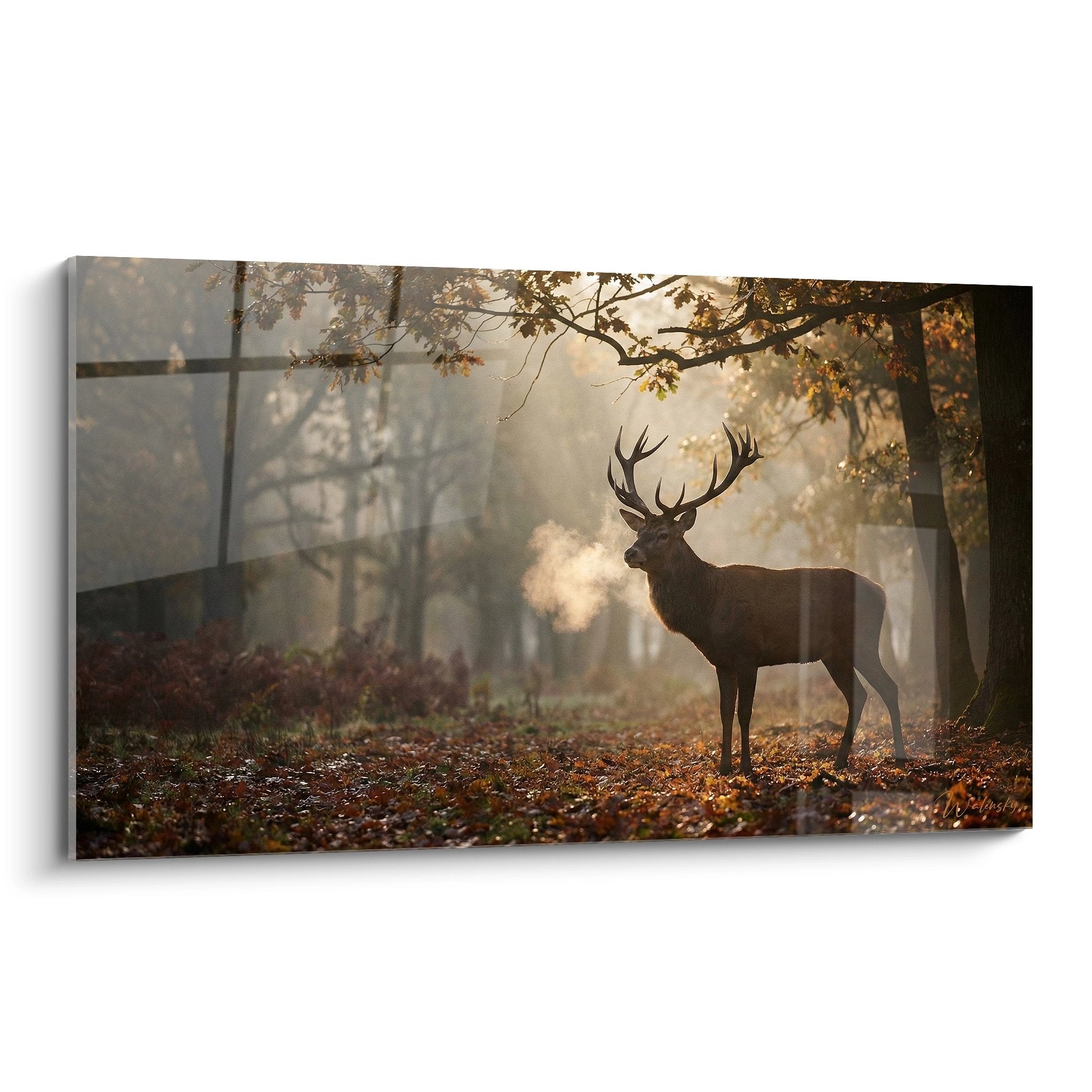 Tableau cerf majestueux en forêt automnale avec brume dorée et feuilles mortes au sol