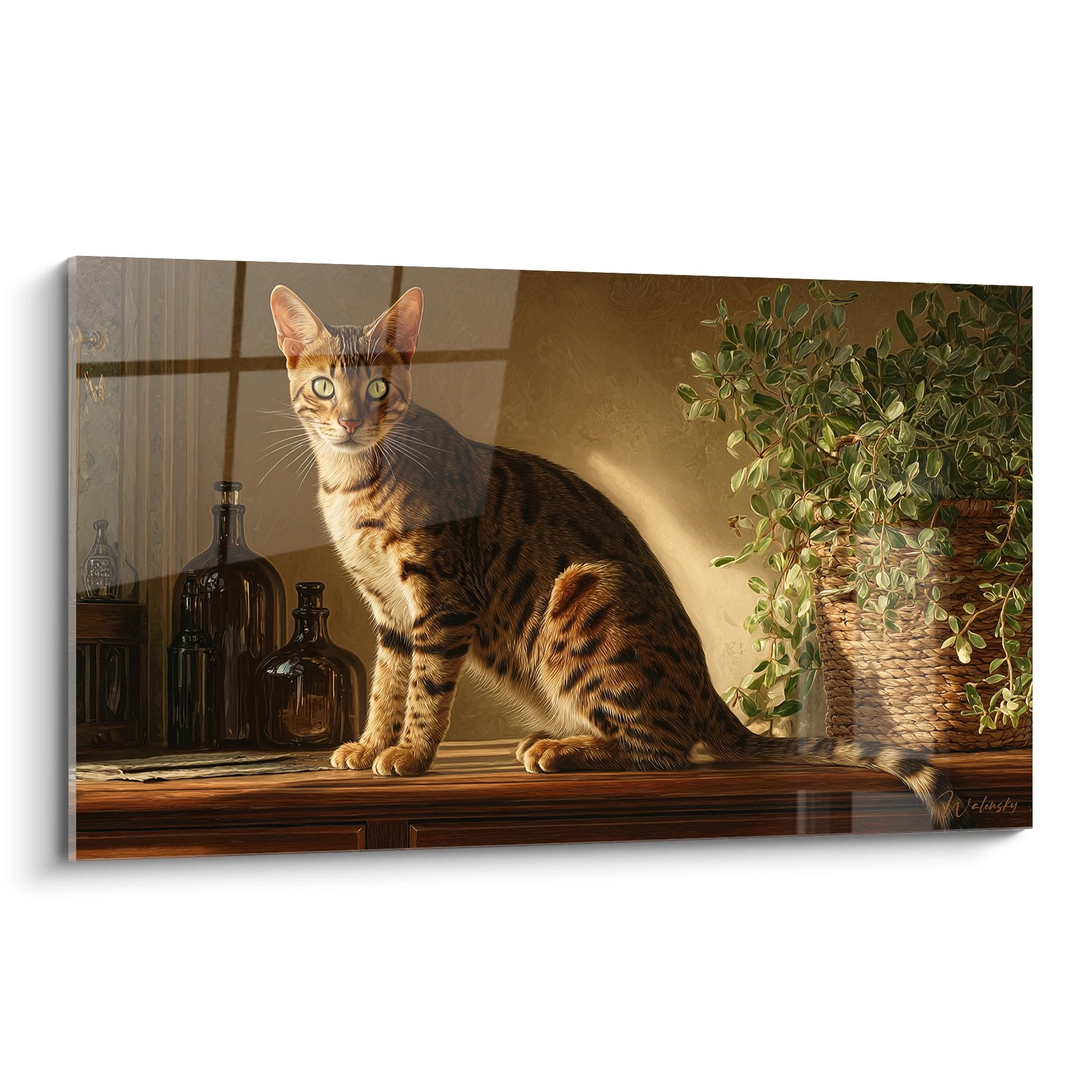 Quadro gatto Serengeti tabby su davanzale con luce dorata e arredamento interiore elegante
