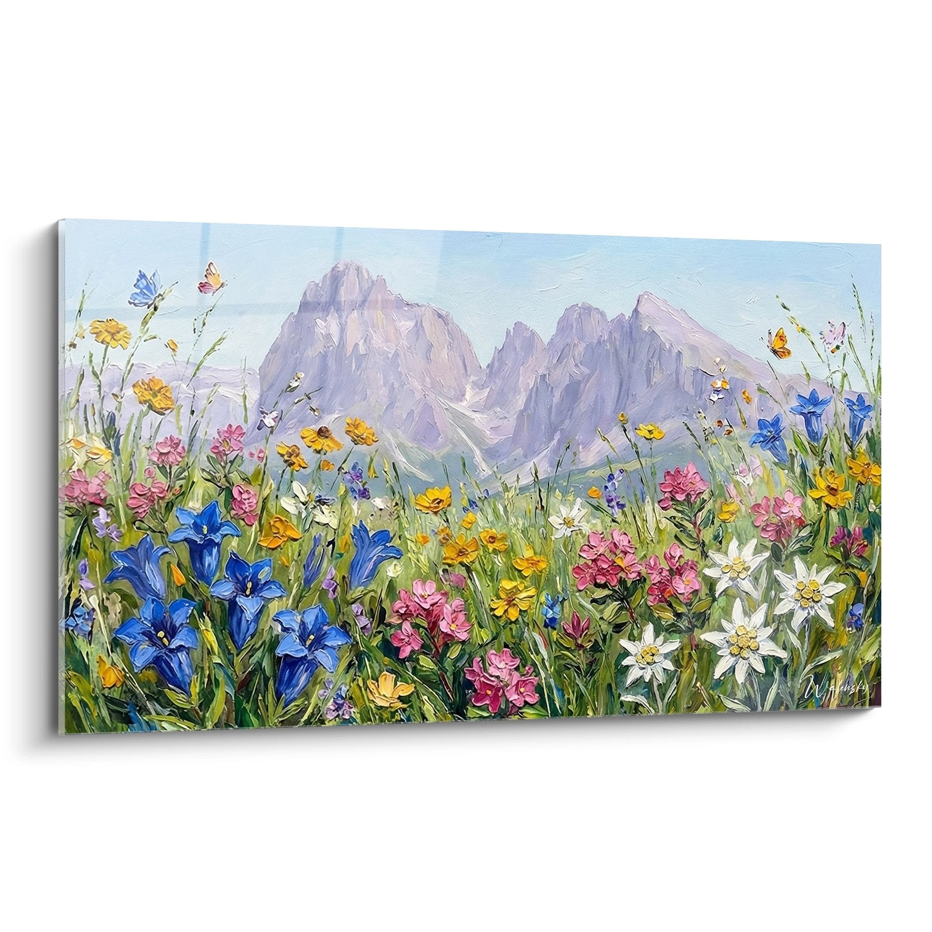 Quadro di prato alpino fiorito con genzianelle blu, stelle alpine e vista sulle cime delle Dolomiti