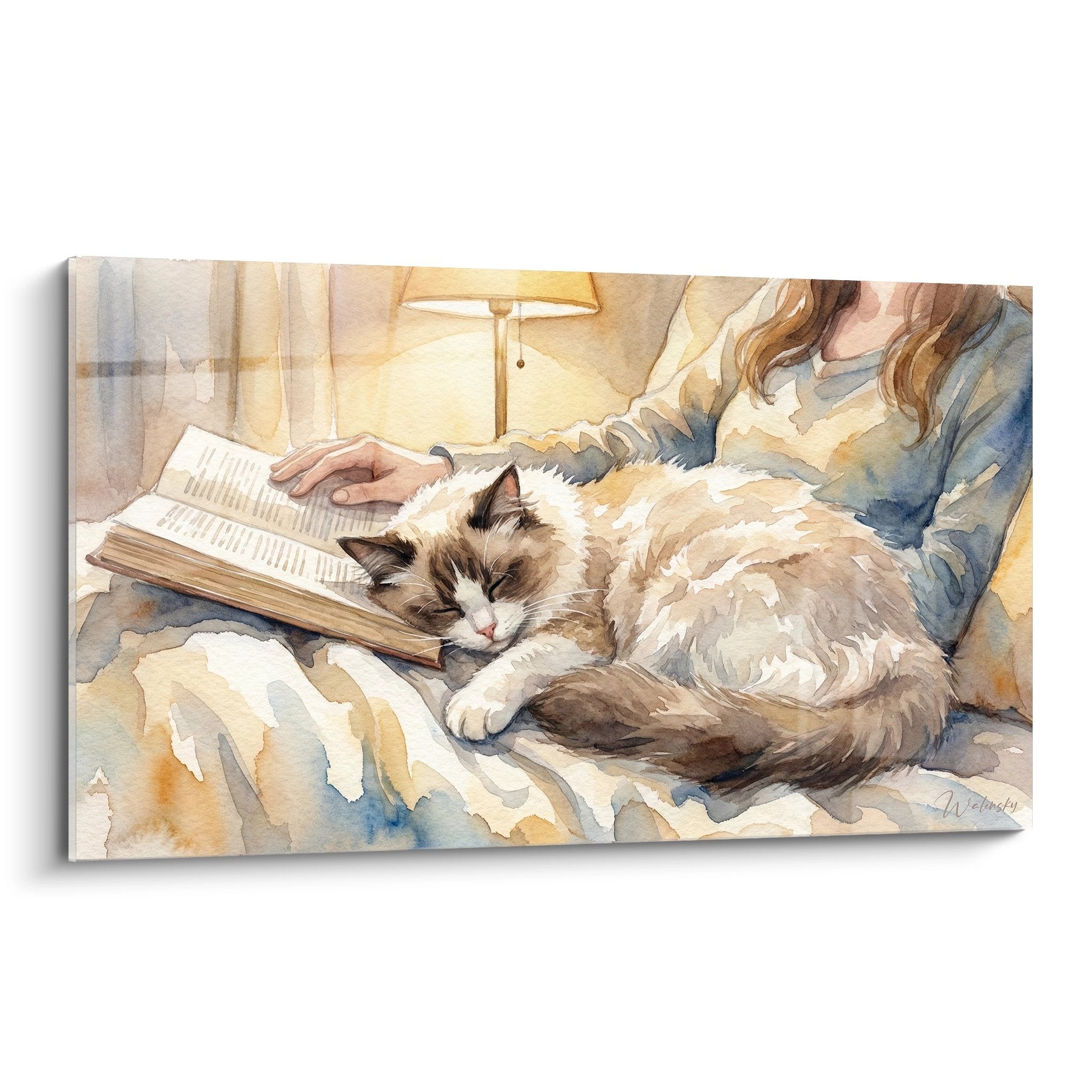 Quadro acquerello gatto Ragdoll addormentato vicino libro aperto, atmosfera lettura calda, decorazione murale felina