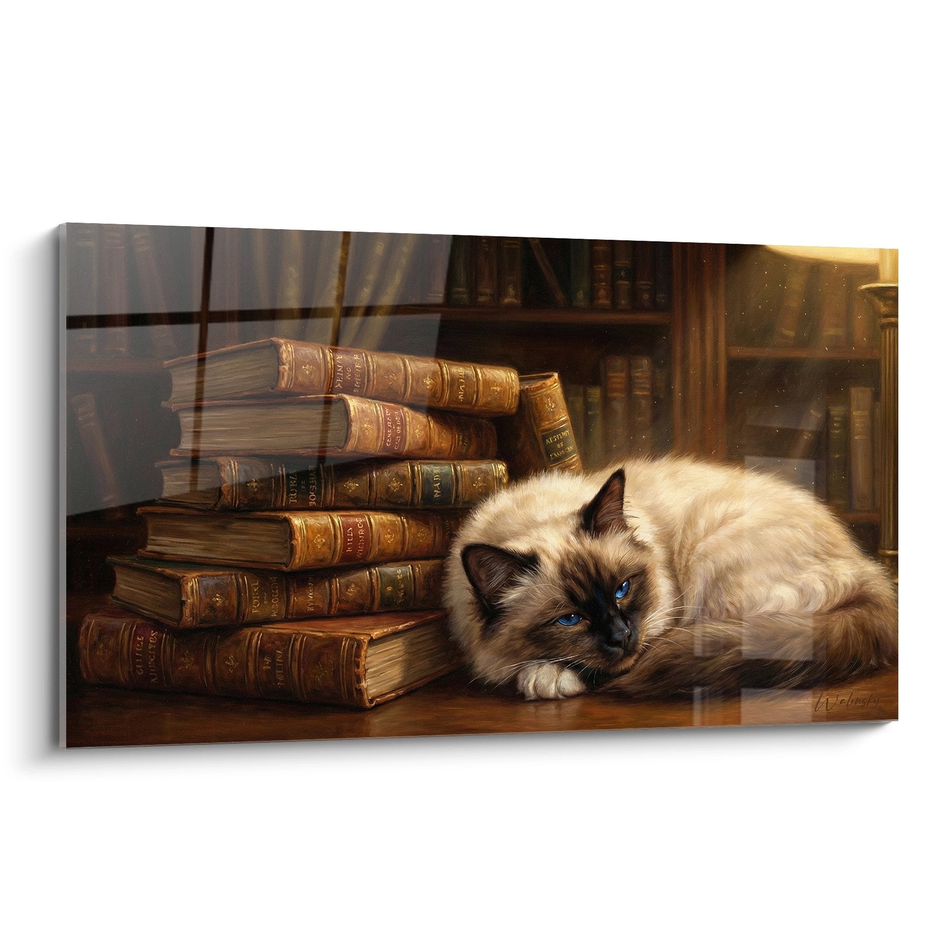 Quadro gatto Birmano con occhi blu sdraiato vicino a libri antichi in una biblioteca, arte murale felina decorativa