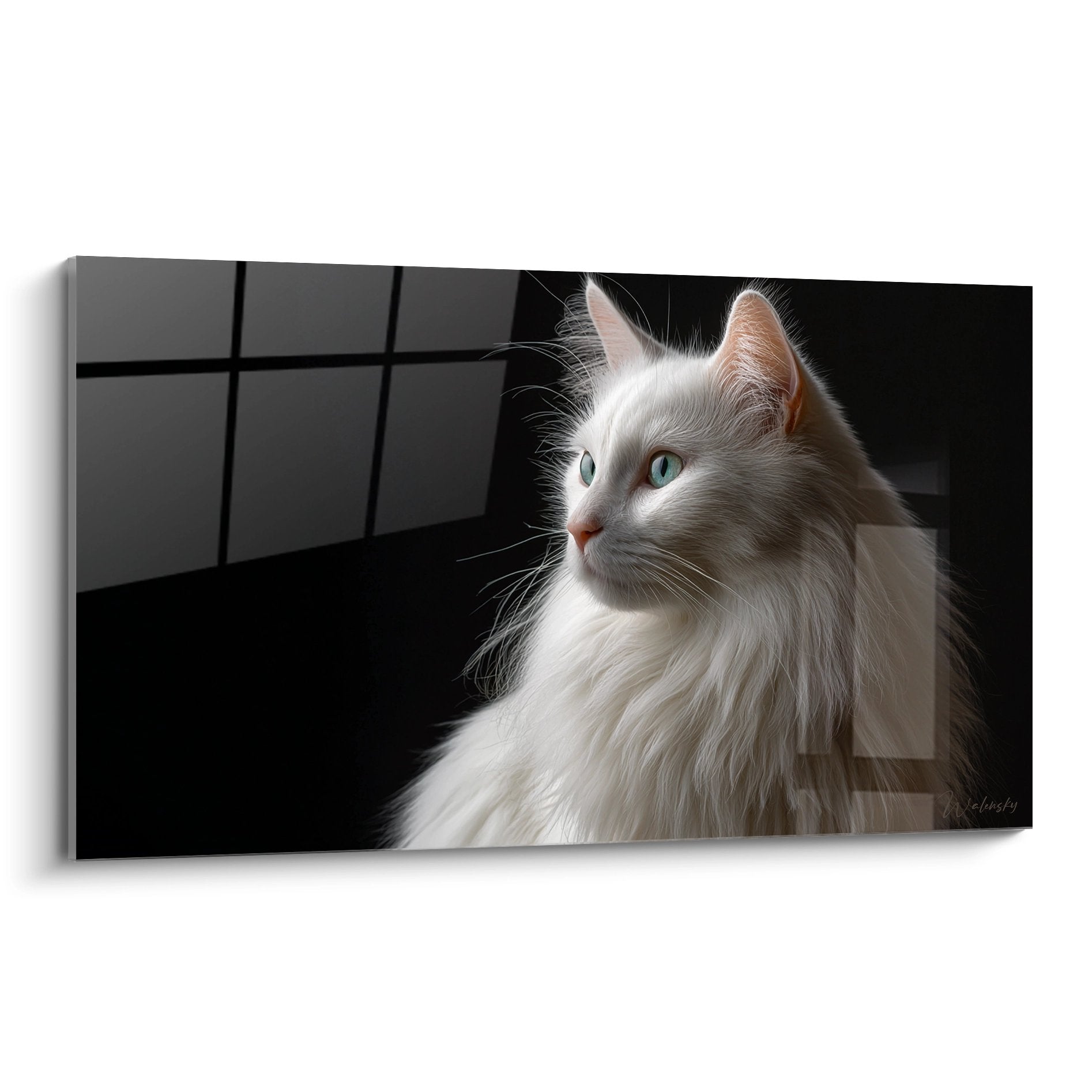 Künstlerisches Porträt einer weißen Turkish-Angora-Katze mit blauen Augen im dramatischen Chiaroscuro-Stil
