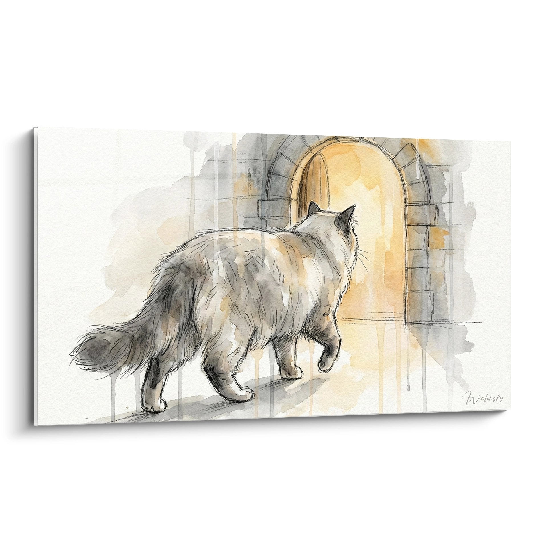 Quadro acquerello gatto Ragamuffin grigio che attraversa passaggio voltato in pietra stile artistico decorativo