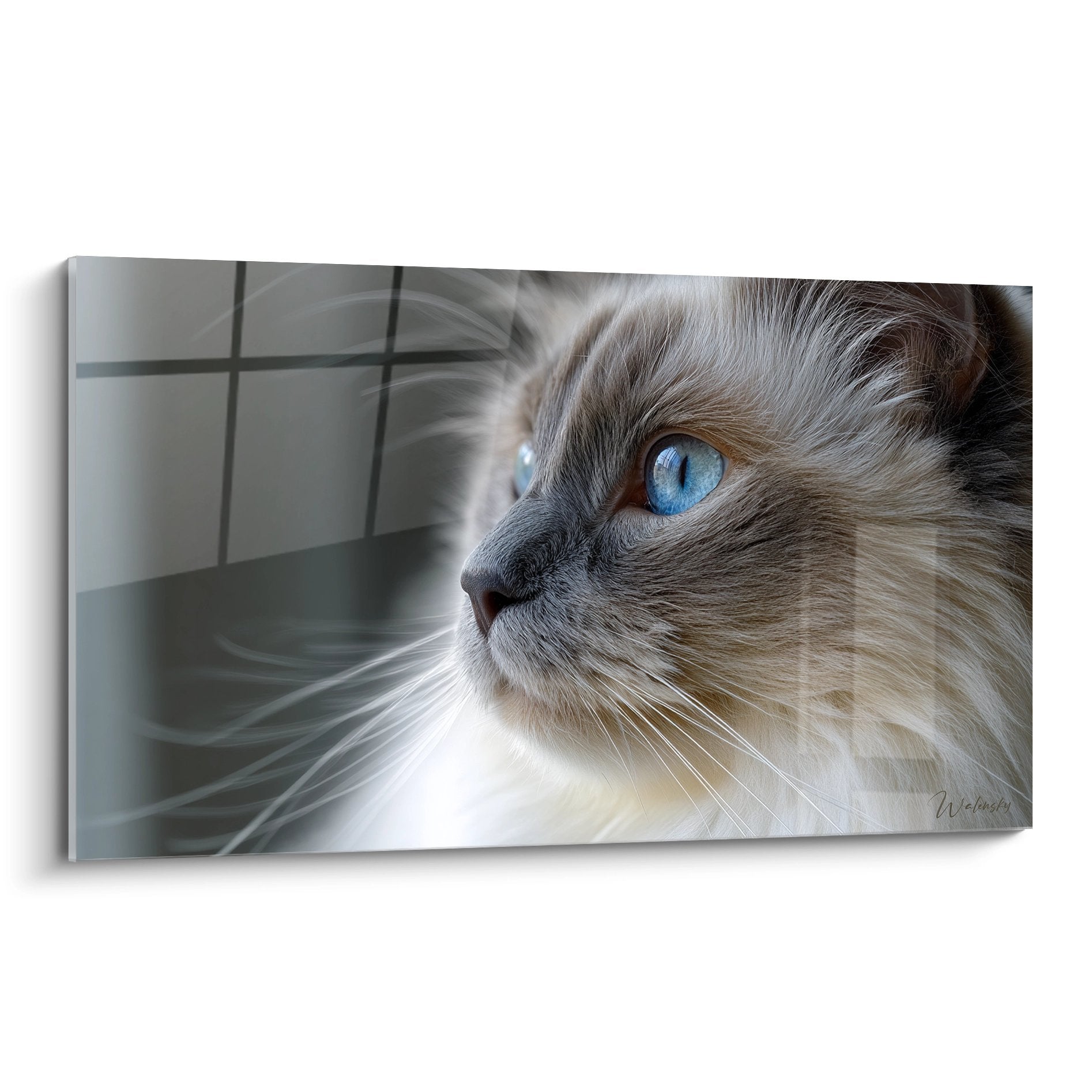 Artistic portrait of a Birman cat with piercing blue eyes, beige and cream coat, contemplative gaze against a modern background