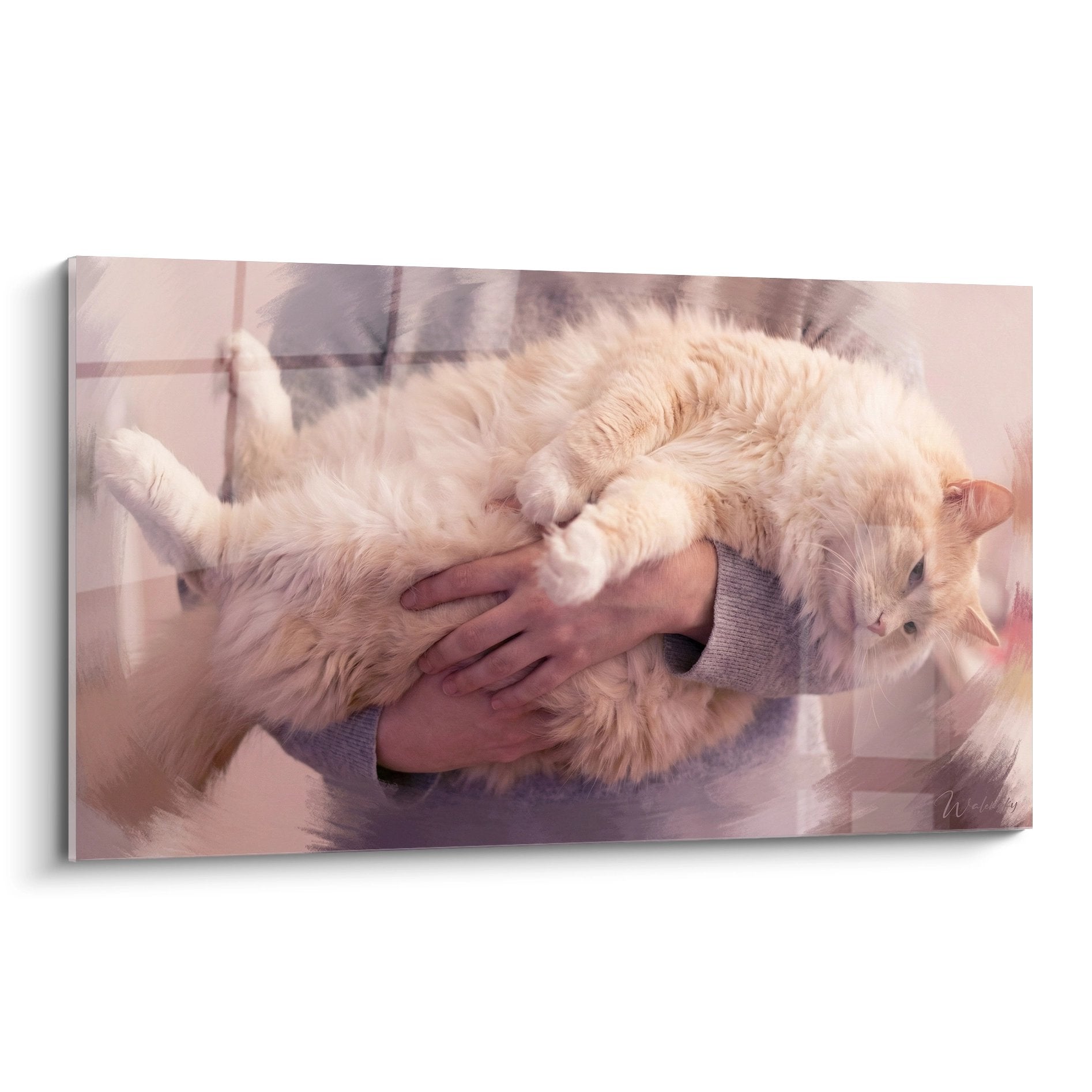 Quadro murale gatto Ragamuffin crema che abbraccia teneramente le braccia del proprietario in toni rosa polvere