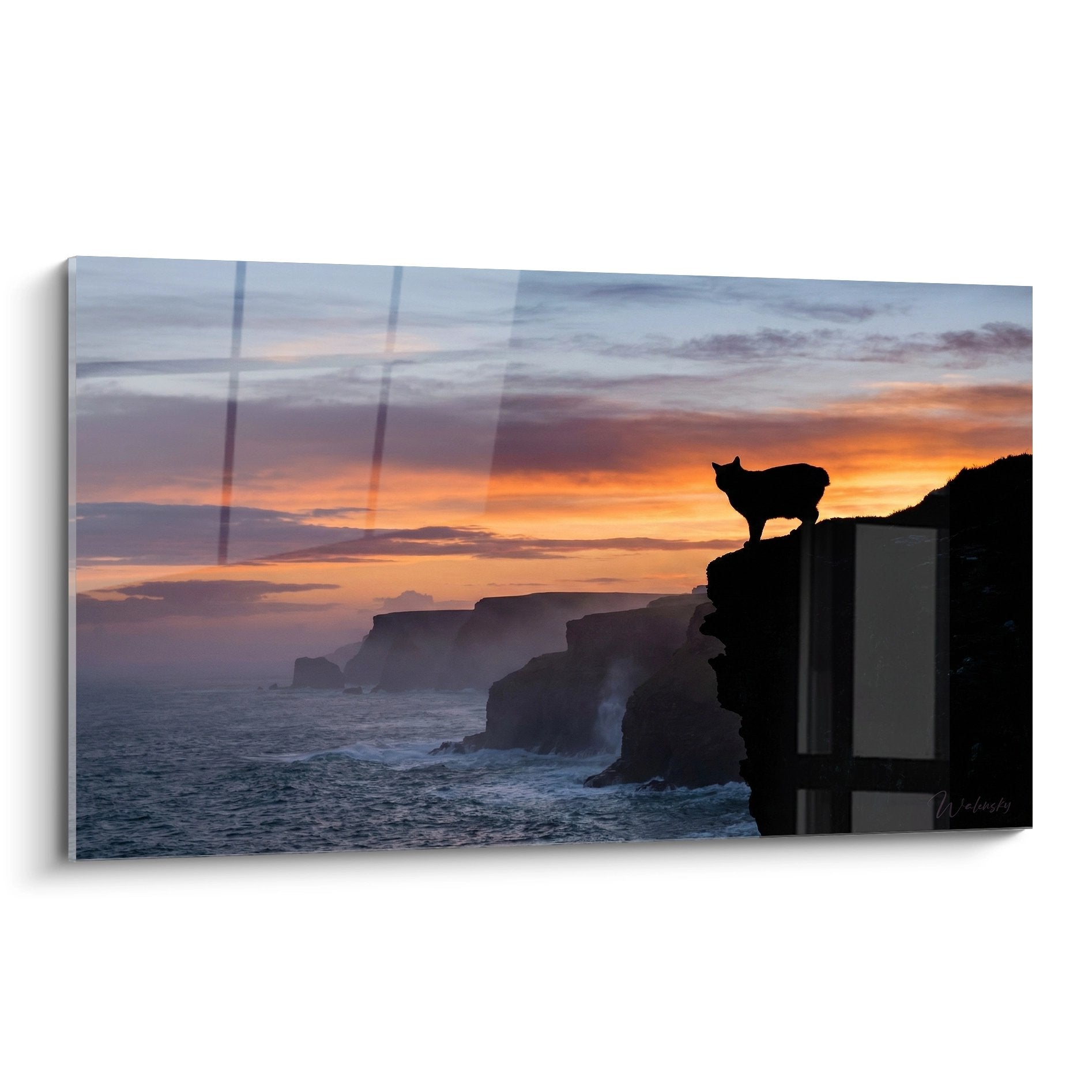Gatto Manx in silhouette su scogliera al tramonto, quadro murale decorazione felina