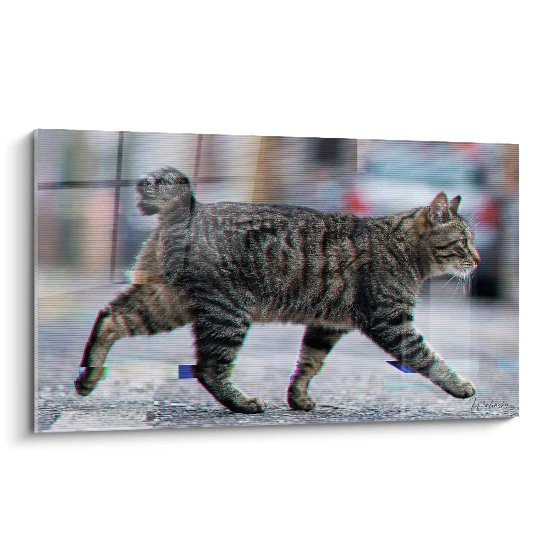 Tableau moderne chat American Bobtail en mouvement avec effet glitch artistique sur toile