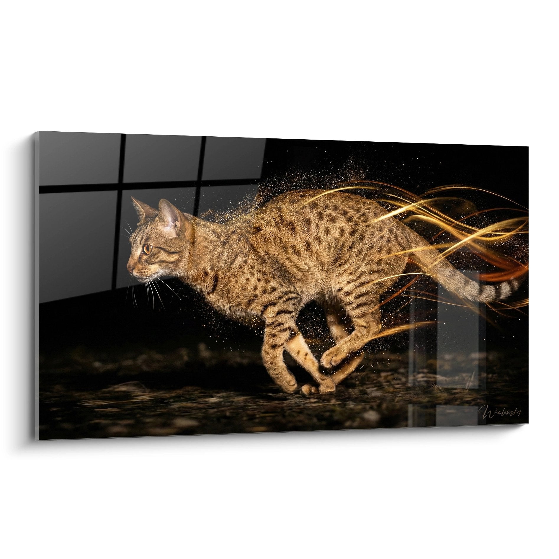 Tableau chat Ocicat tacheté en mouvement avec effets dorés sur fond noir moderne