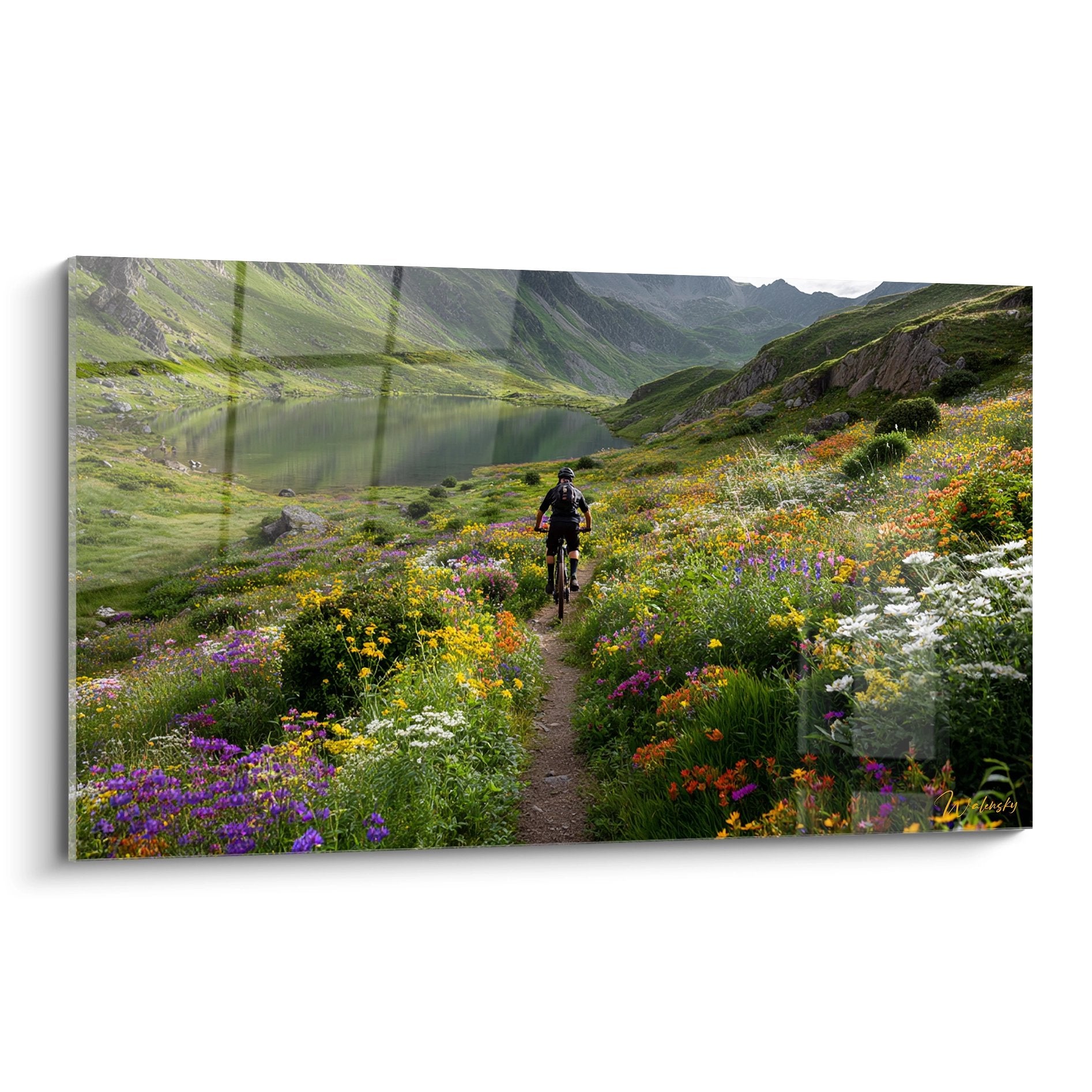 Tableau VTT montrant un cycliste sur sentier fleuri face a un lac de montagne entoure de fleurs sauvages colorees