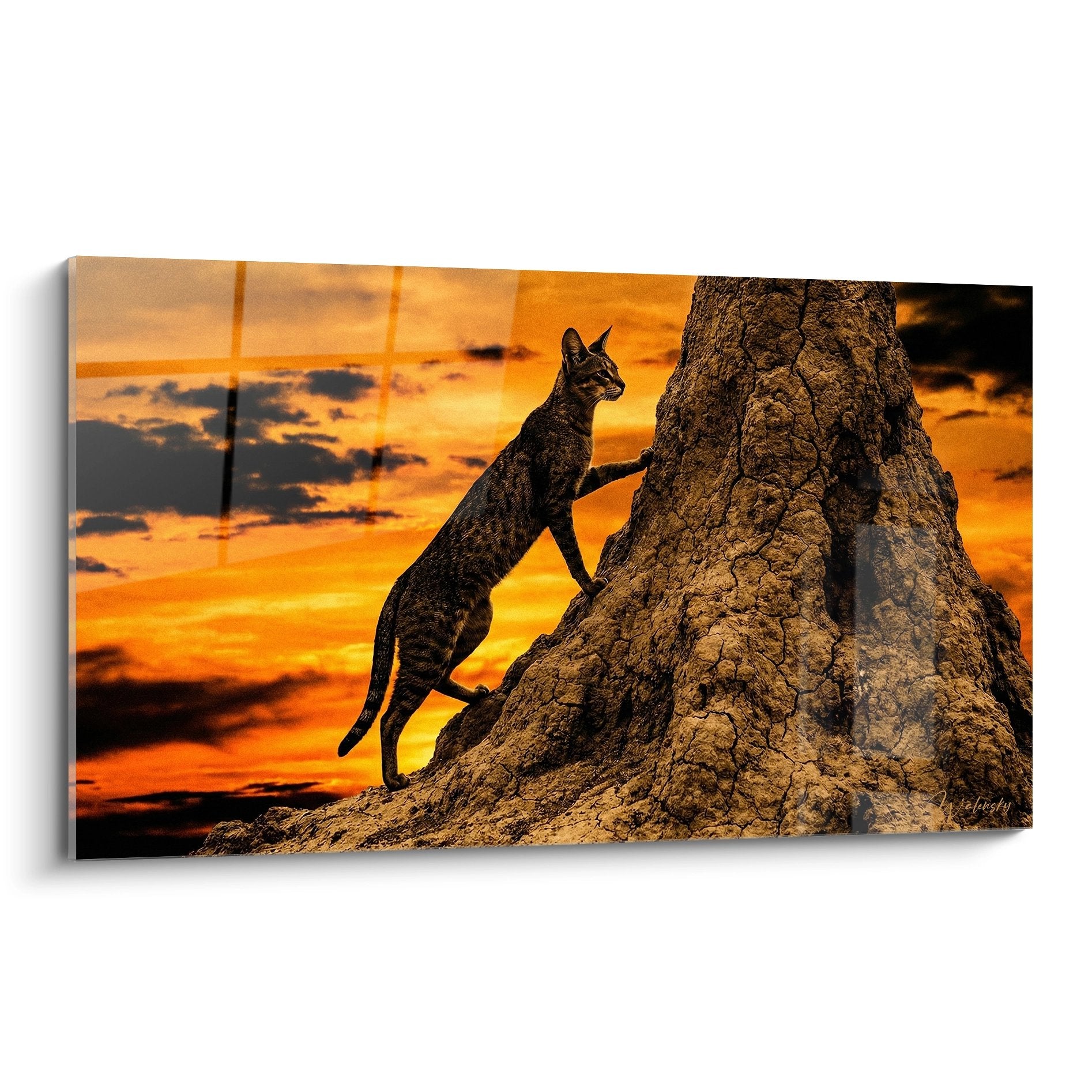 Tableau chat Chausie perché sur rocher au coucher de soleil, ciel orangé, art mural félin pour décoration