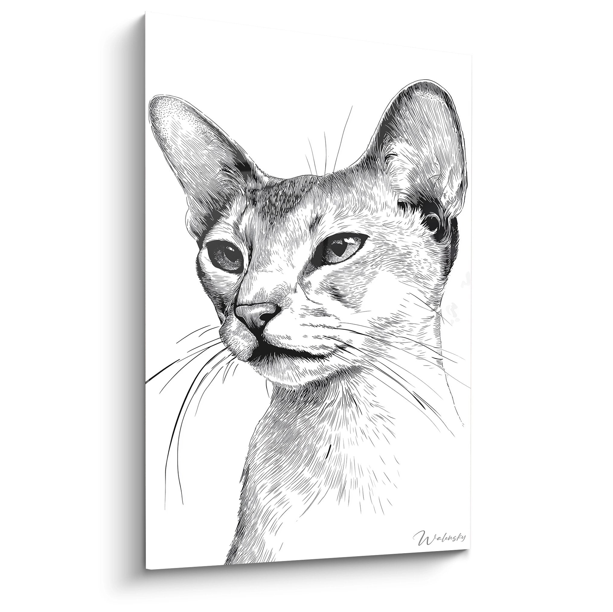 Artistic portrait of black and white Abyssinian cat, detailed drawing for modern and elegant wall decoration