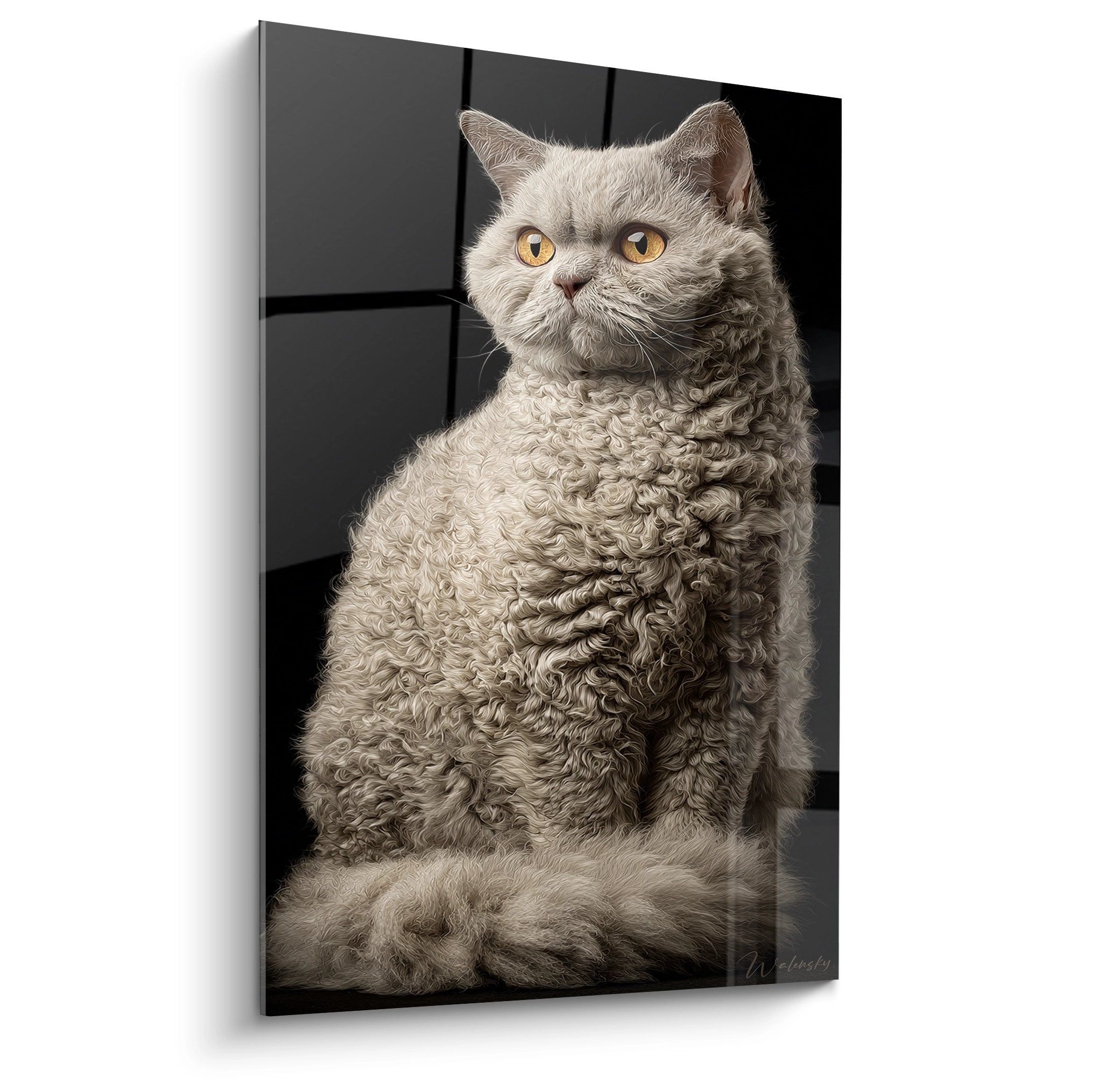 Künstlerisches Porträt Selkirk Rex Katze lockiges graugraumiges Fell goldene Augen Wandgemälde Wanddekoration feliner moderner Kunstdruck