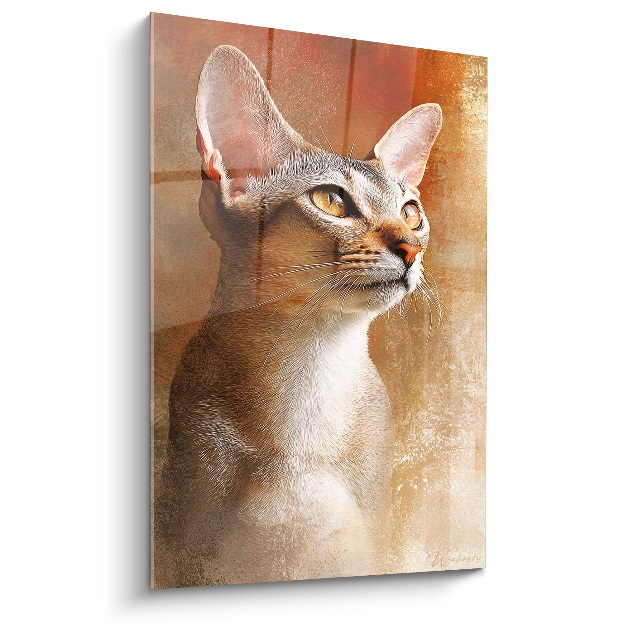 Portrait artistique chat Singapura regard contemplatif fond doré tableau mural décoratif